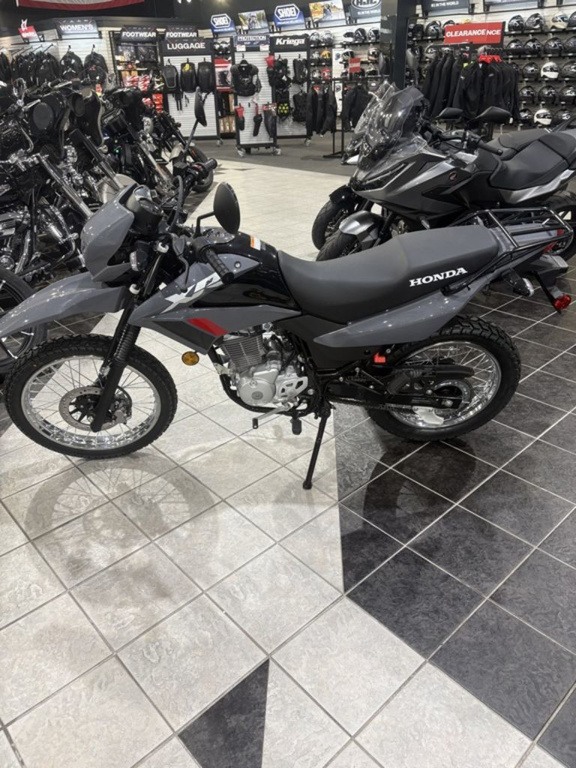2026 Honda XR 150L 150L in Myrtle Beach, SC