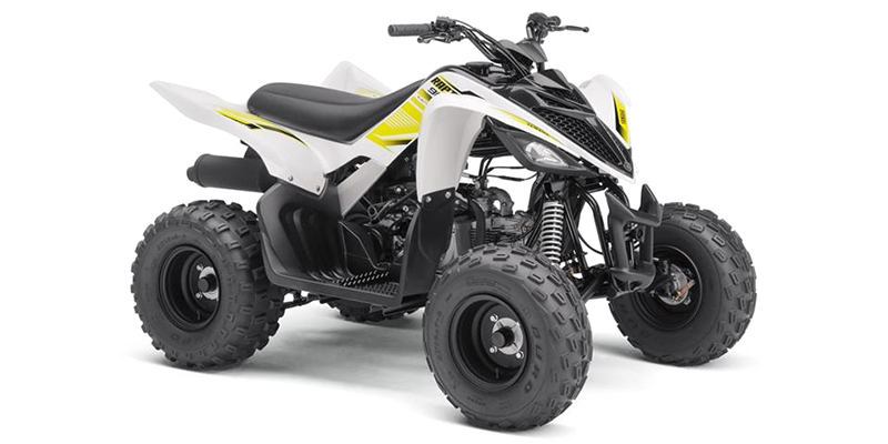 2017 Yamaha Raptor 90 in pompton plains NJ