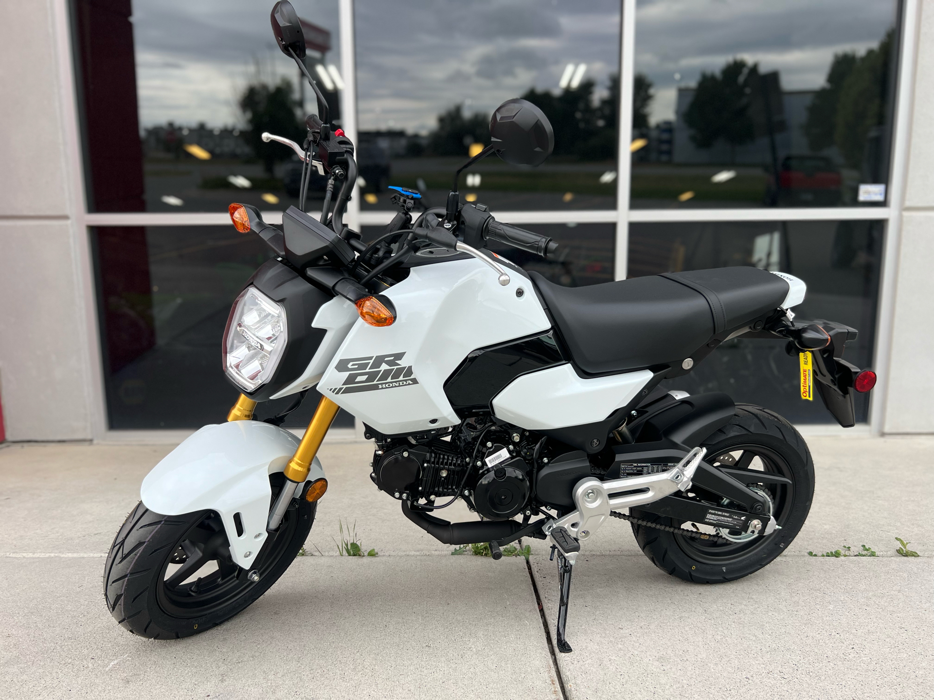 2026 Honda Grom in Billings, MT