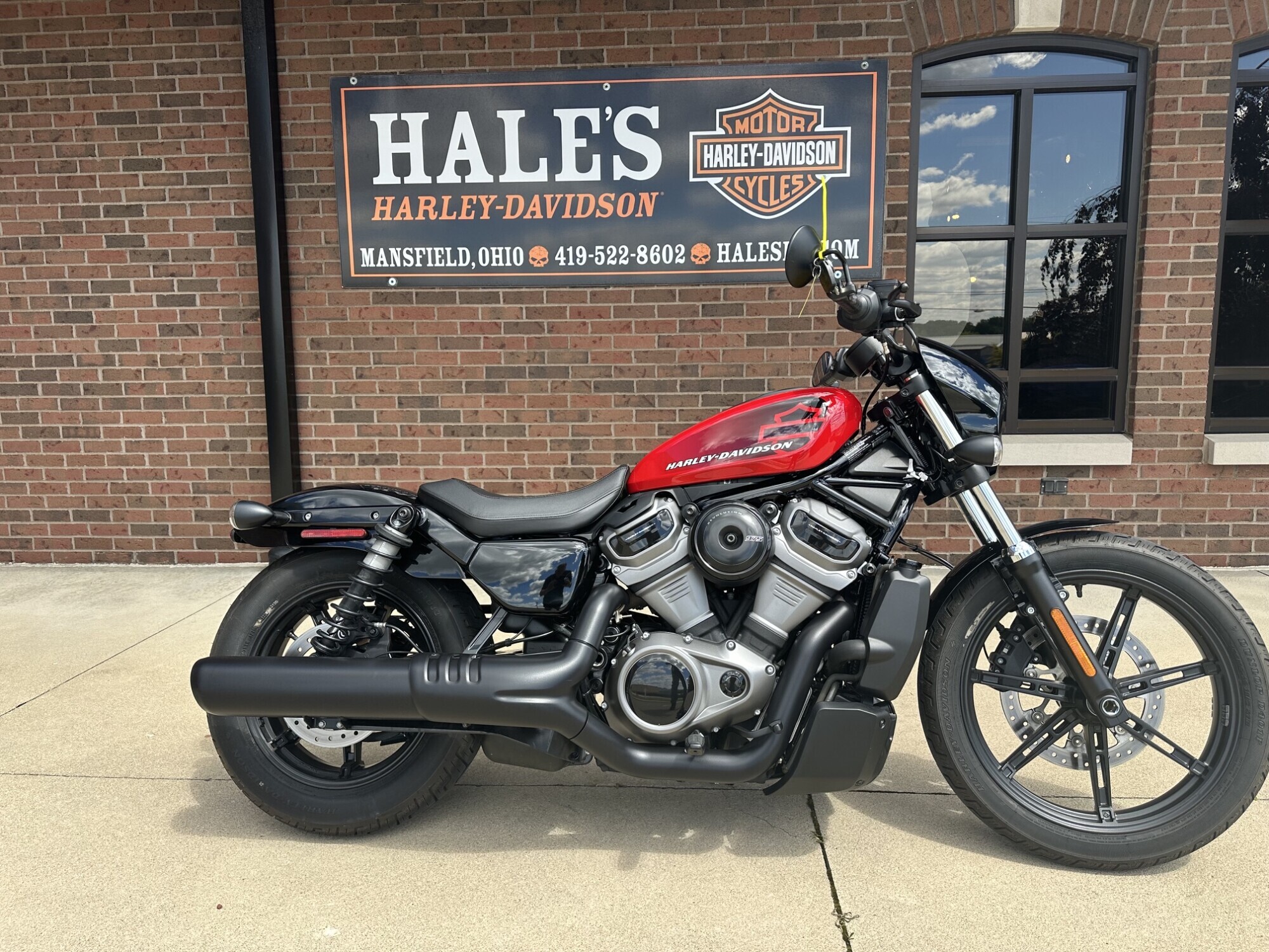2022 Harley-Davidson Nightster in Mansfield, OH