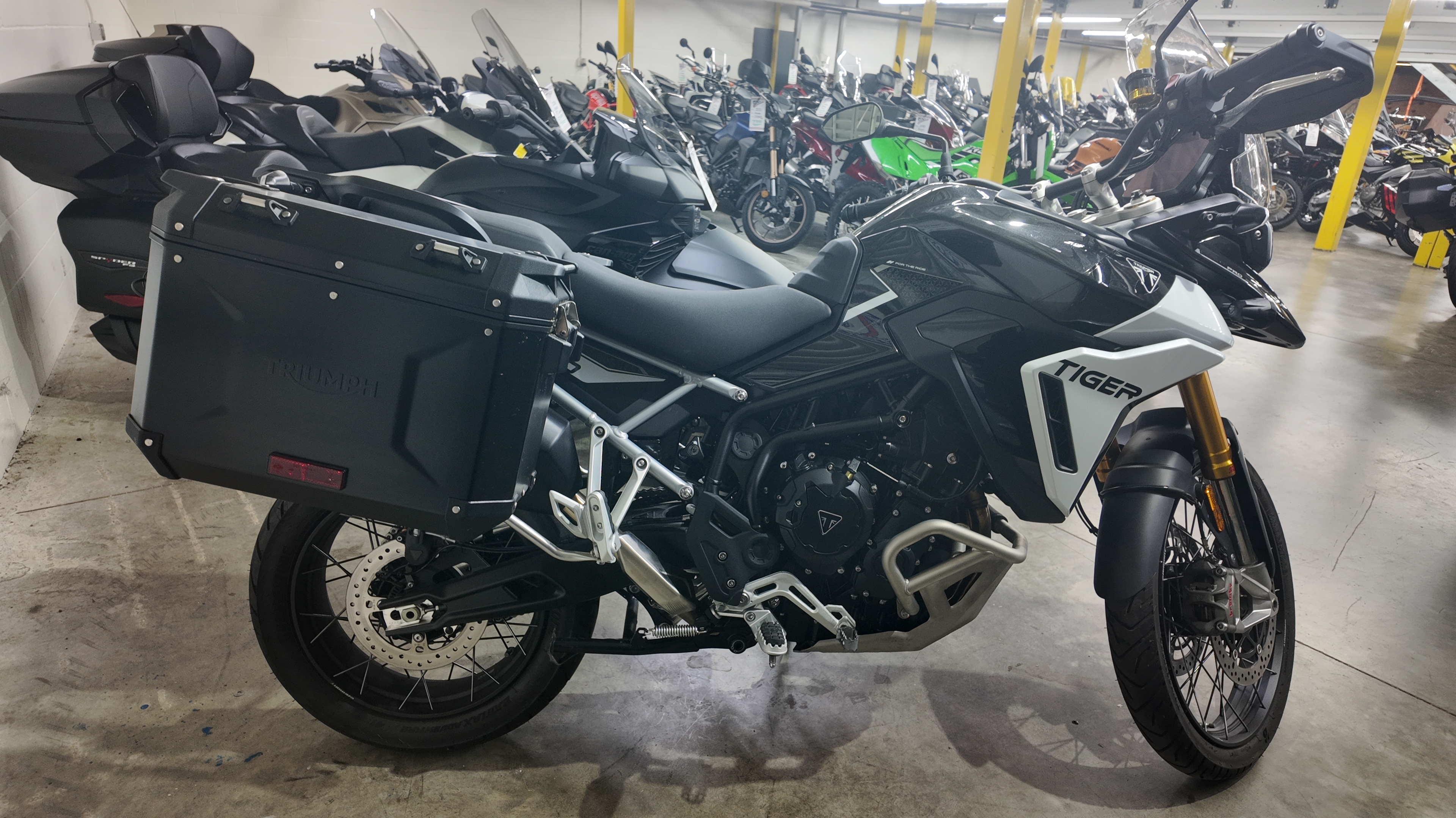 2024 Triumph TIGER 900 RALLY 900 RALLY in Lakeville, MN
