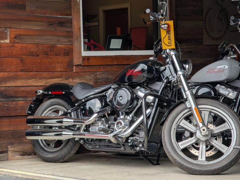 2023 Harley FXST STANDARD in Portland, OR