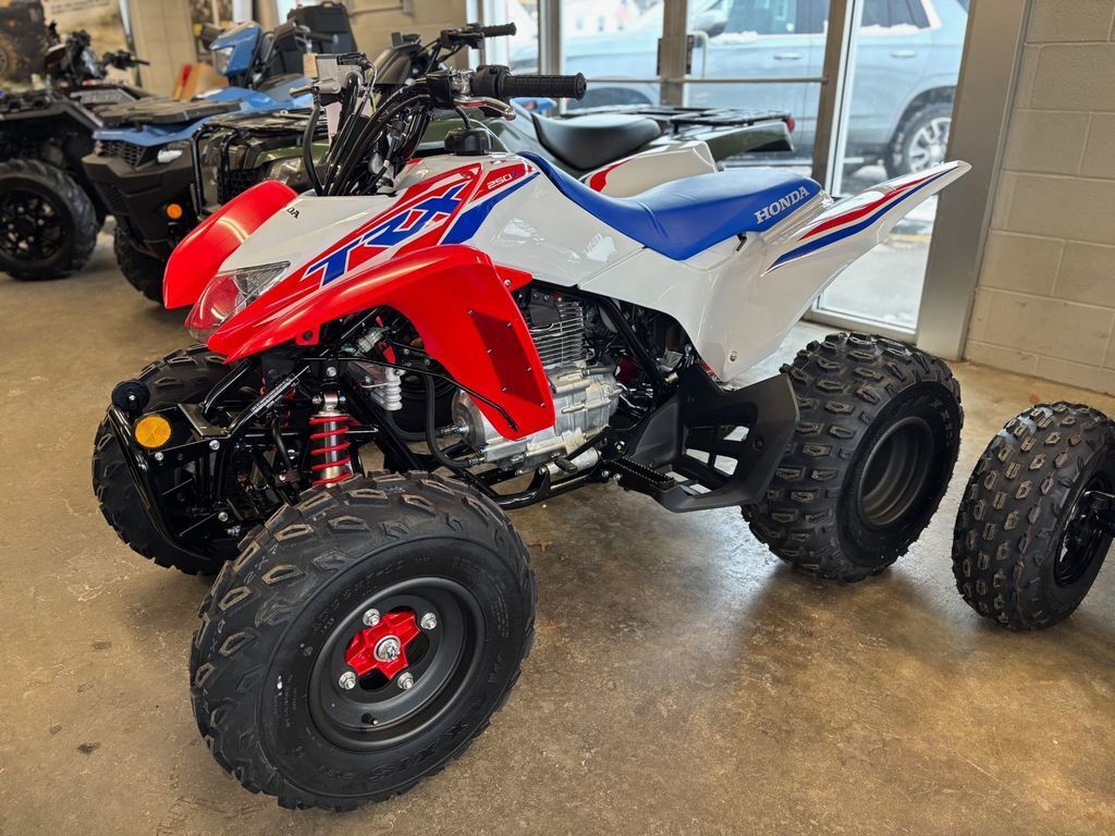 2026 Honda® TRX250X in hobe sound FL