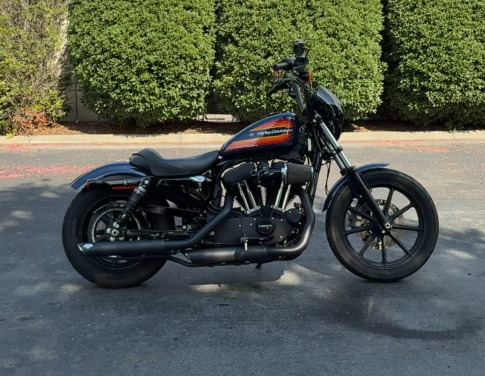 2020 Harley-Davidson SPORTSTER XL1200 in East Ridge, TN