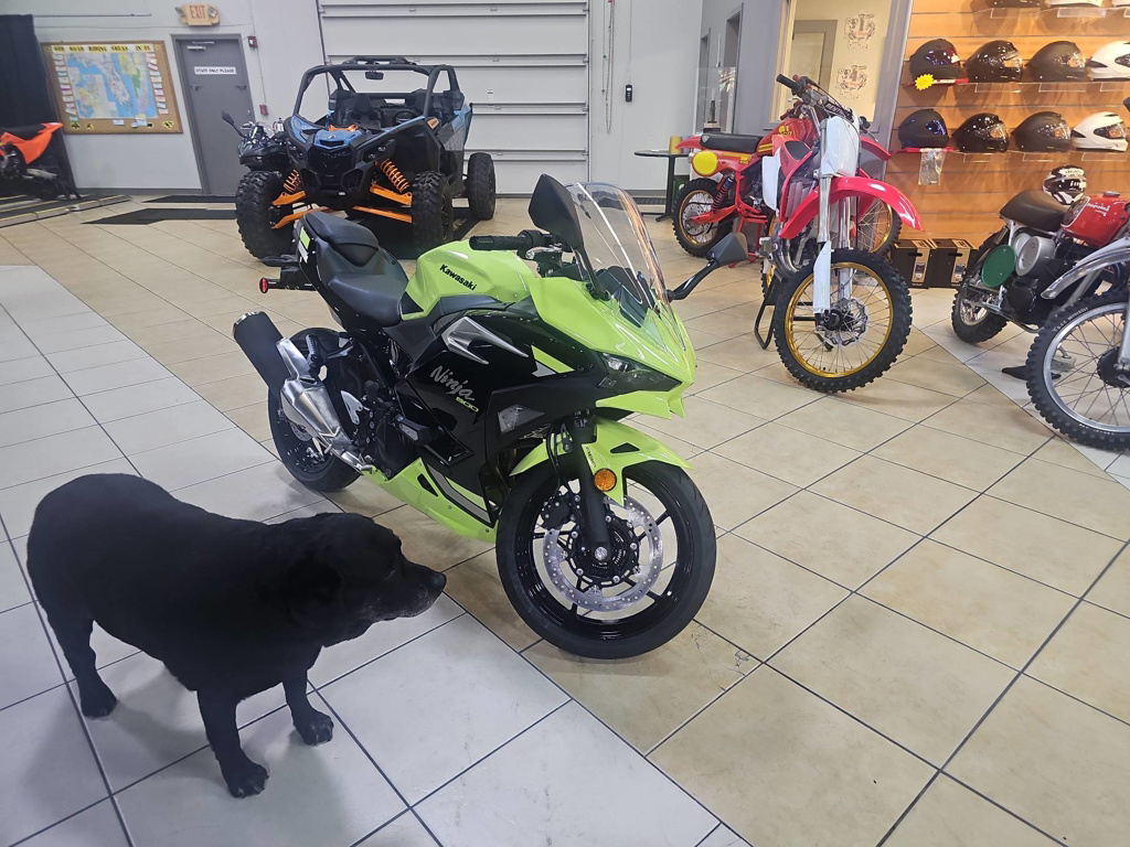 2026 Kawasaki NINJA 500 KRT SE ABS SE ABS in Ft Myers, FL
