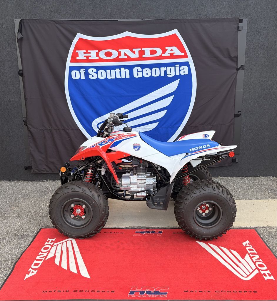 2026 Honda® TRX250X 250X in Tifton, GA