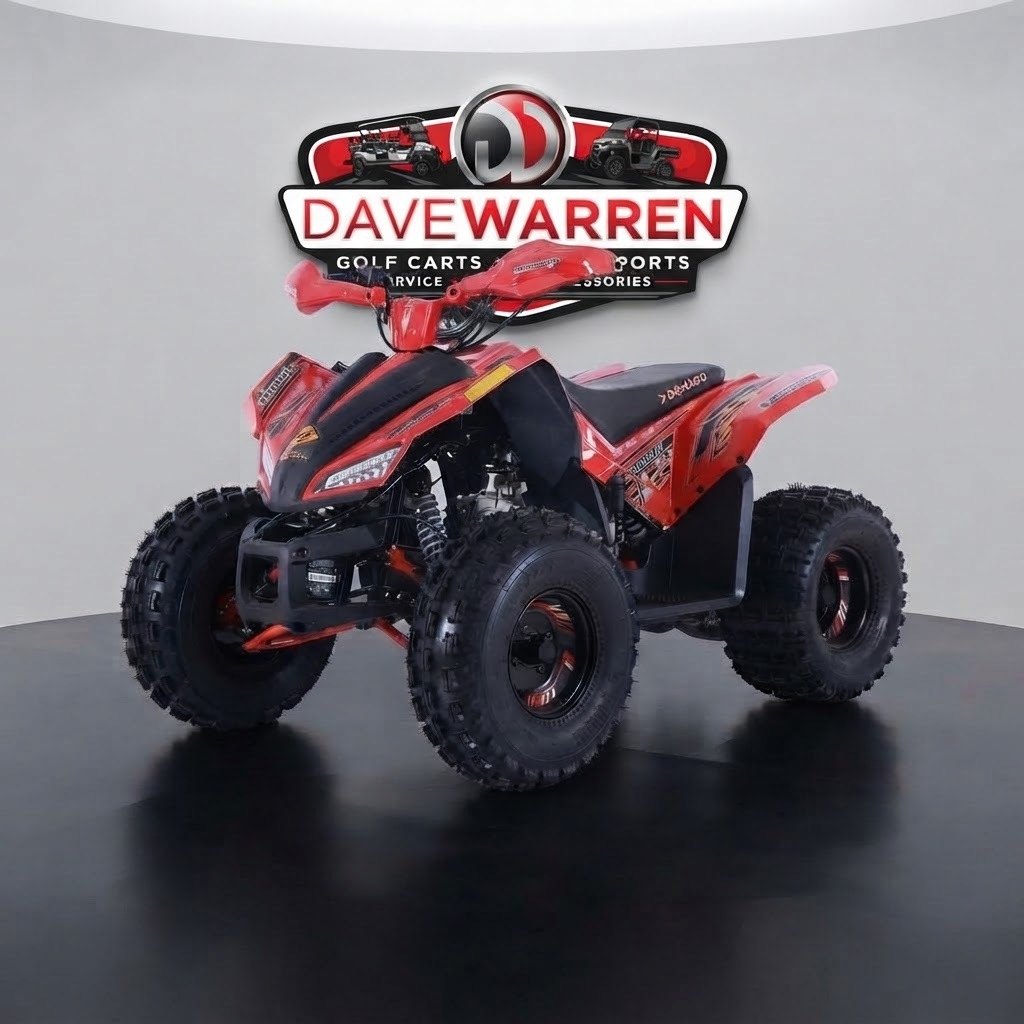 2026 Denago TRAILHAWK 10FI in westfield NY