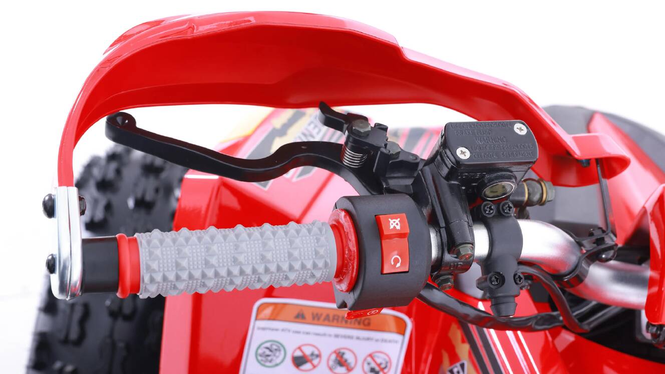 A photo of this 2026 Denago Powersports Trailhawk 10FI