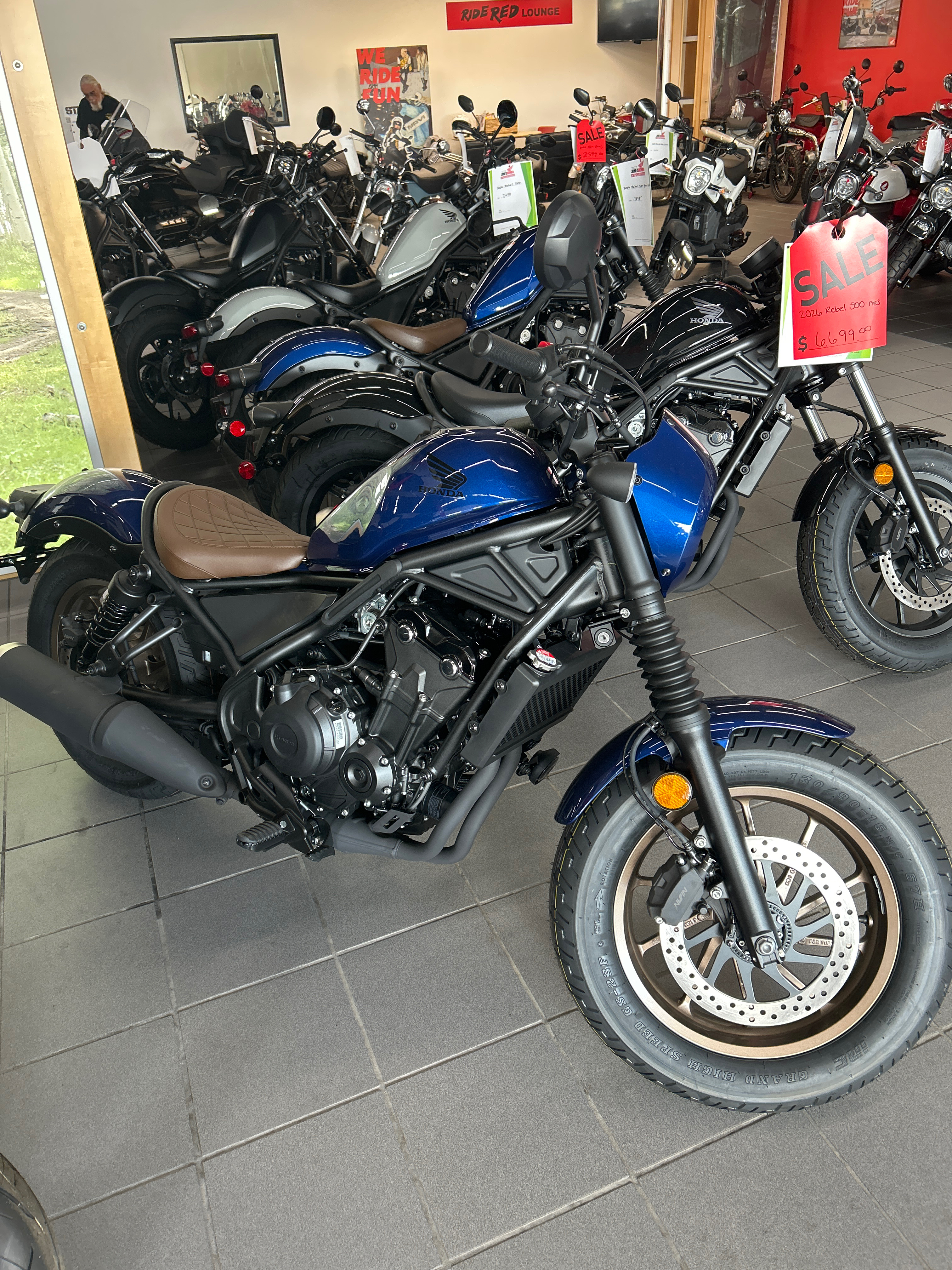 2026 Honda REBEL 500 ABS SE 500 ABS SE in Columbia, MO