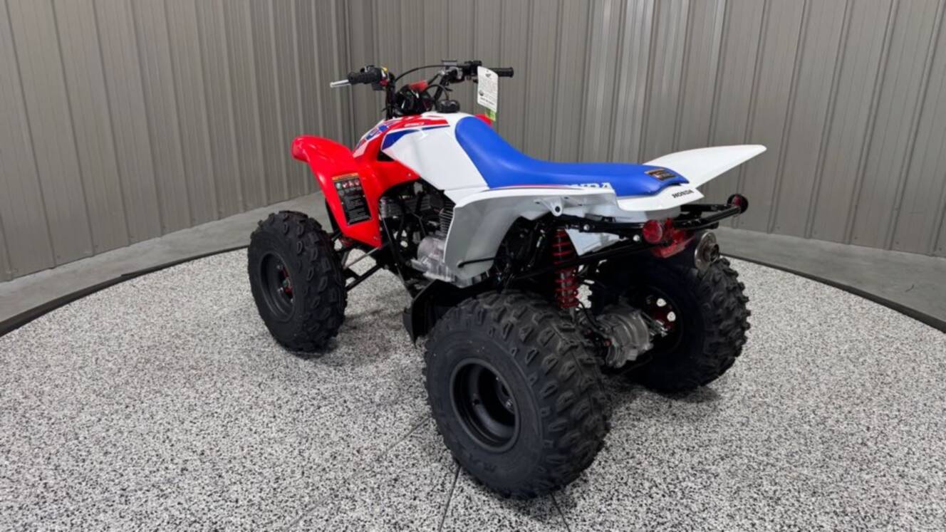 A photo of this 2026 Honda TRX250X