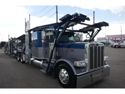 2018 PETERBILT 389