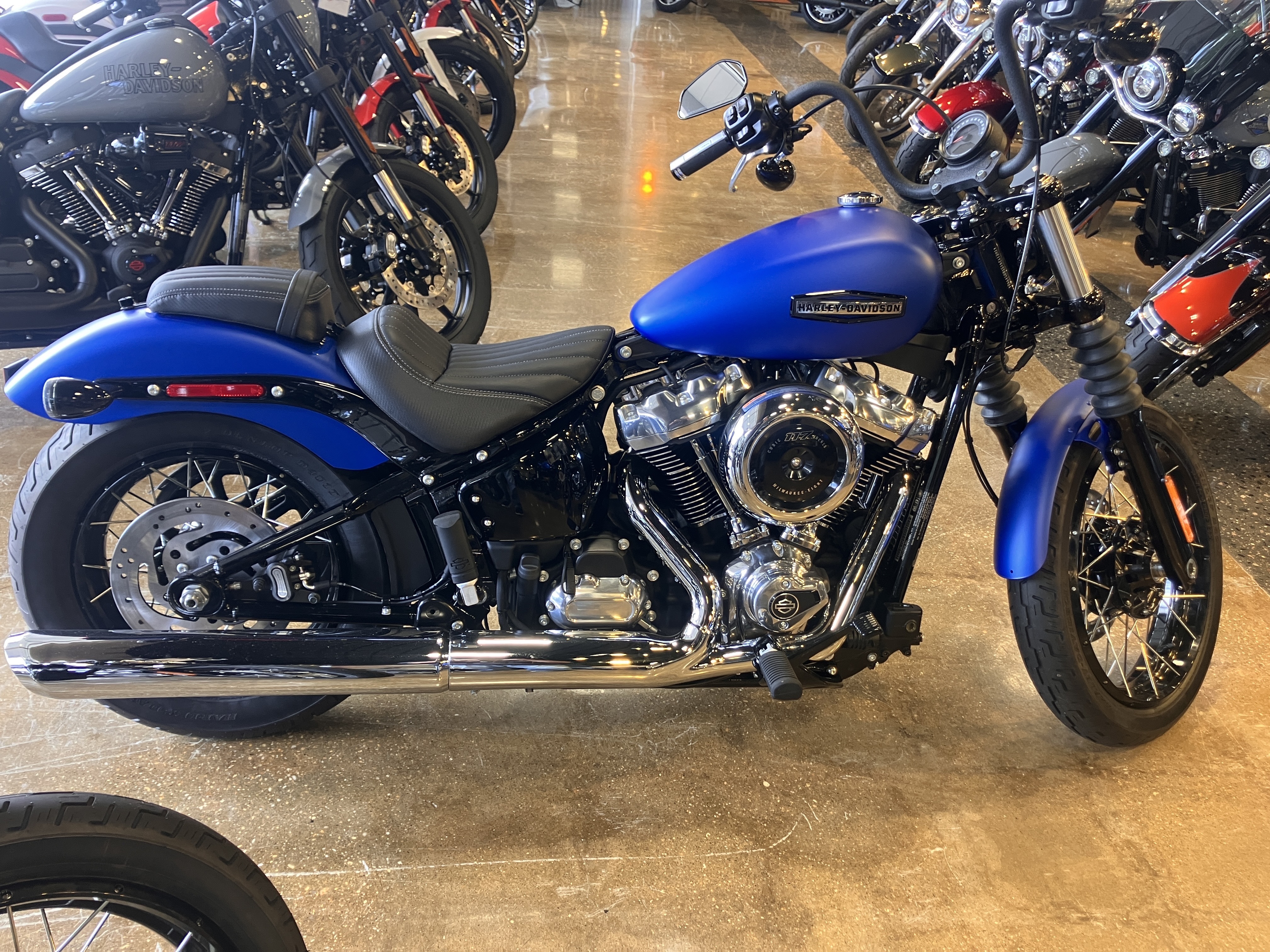 2026 Harley-Davidson Street Bob® in West Long Branch, NJ