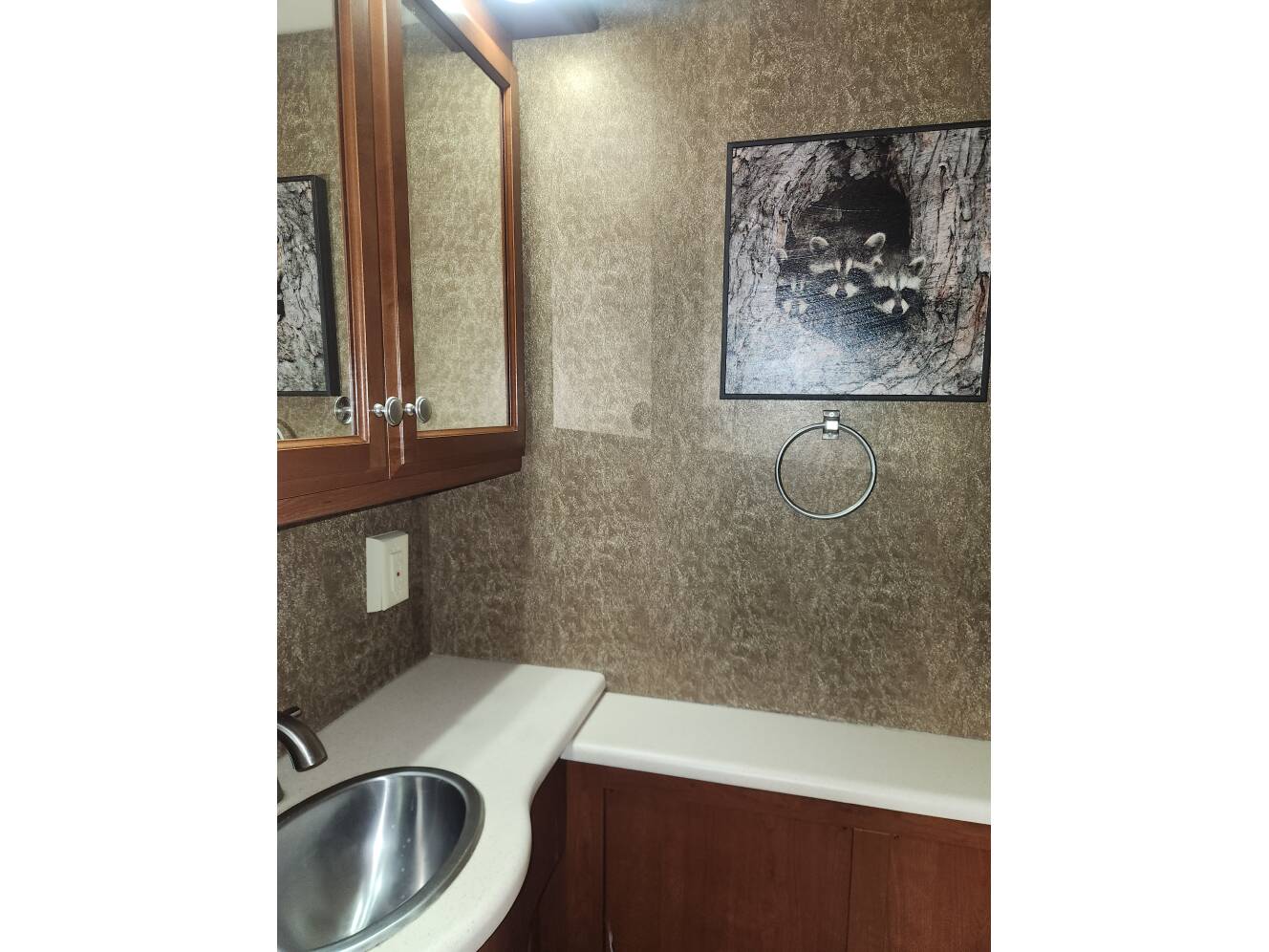 A photo of this 2013 Thor Motor Coach PALAZZO 36 1