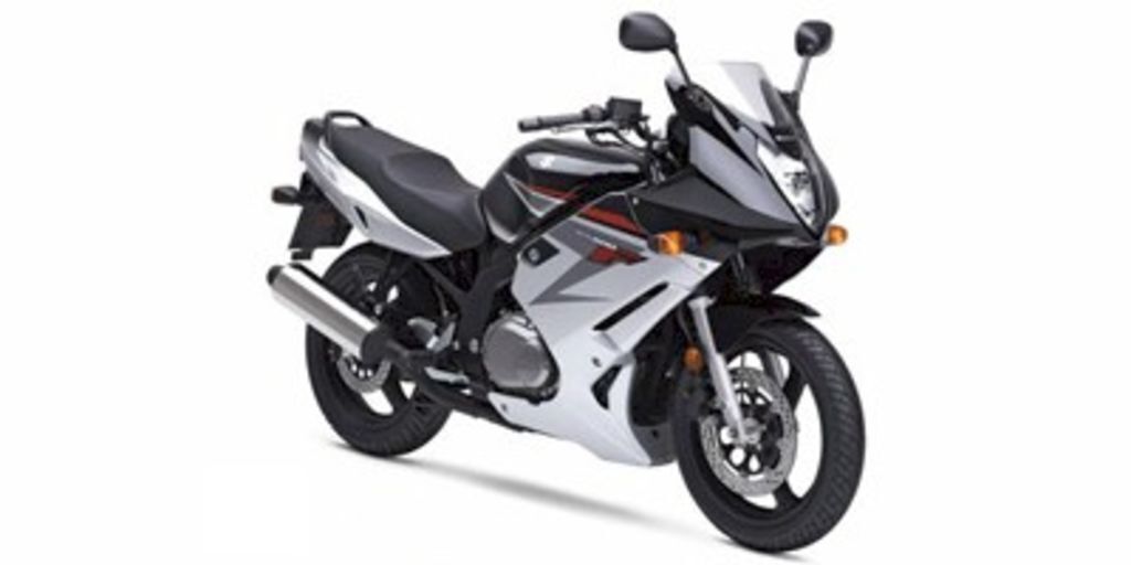 2008 Suzuki GS 500F in Burbank, OH