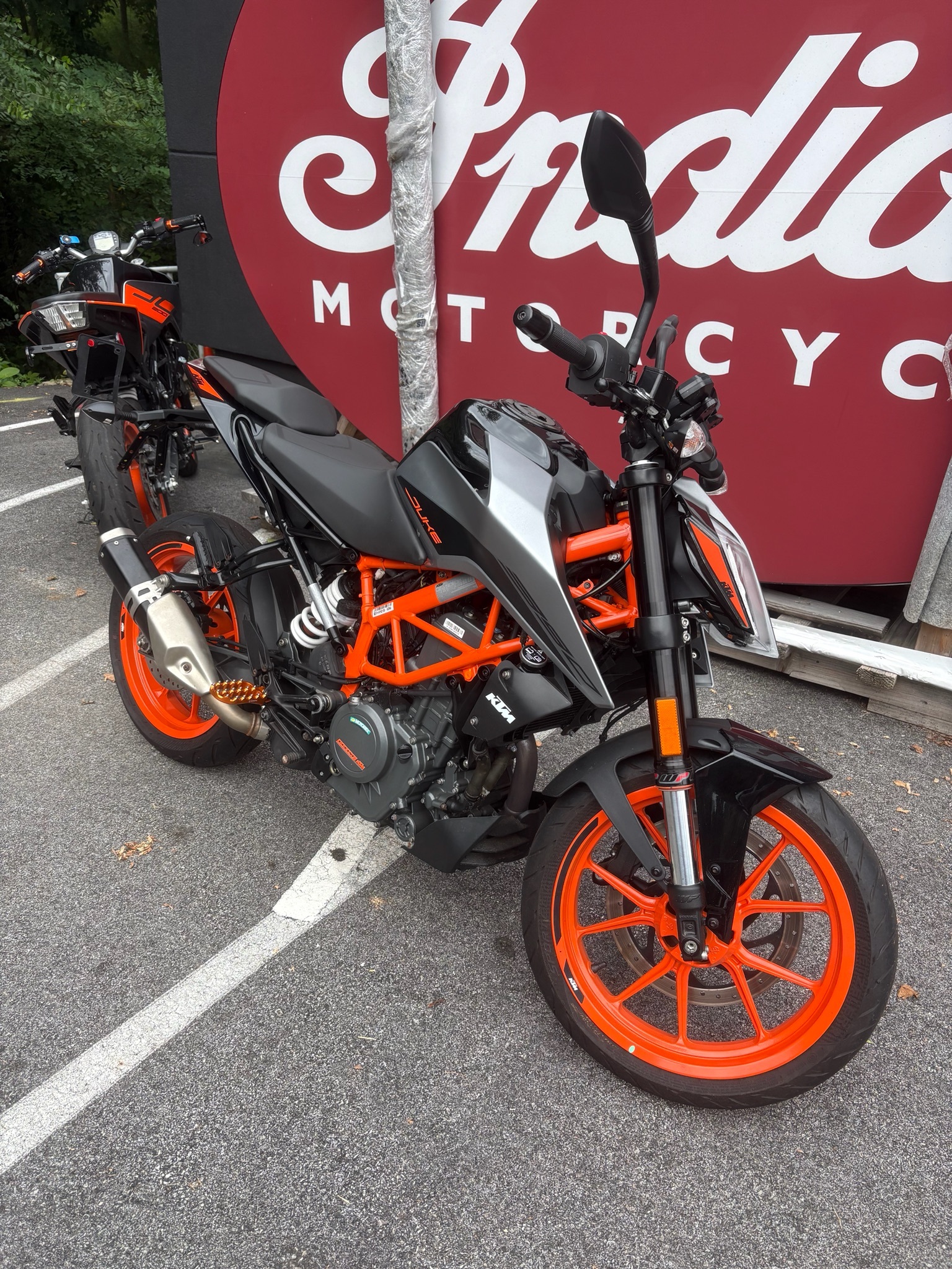 2022 KTM 390 Duke DUKE in Bala Cynwyd, PA