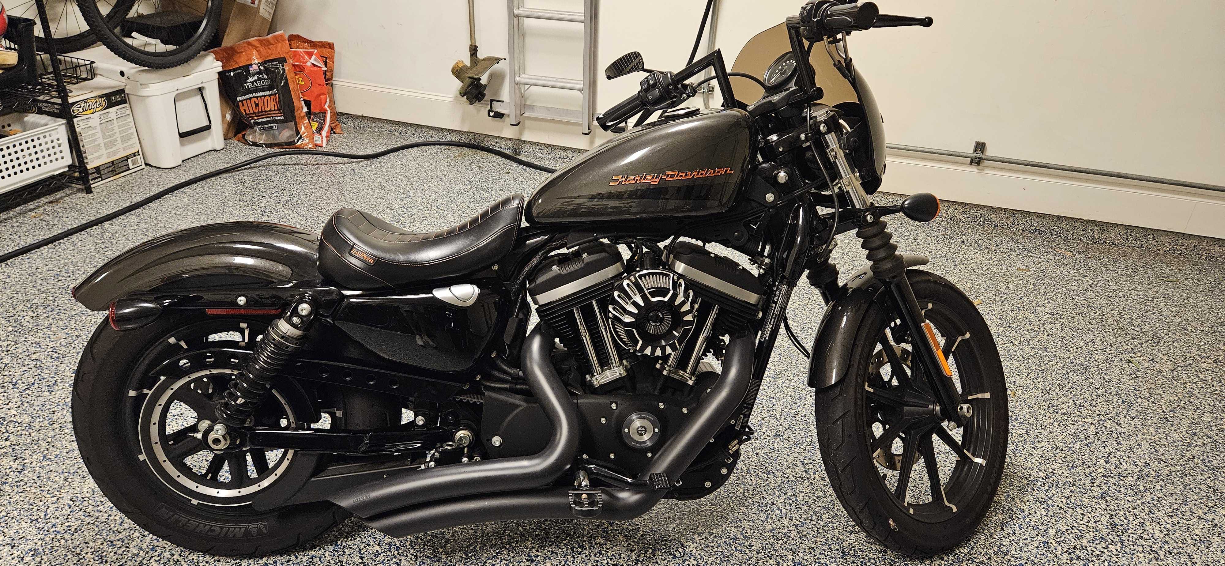 2019 Harley-Davidson SPORTSTER 883 IRON IRON in Sugar Land, TX