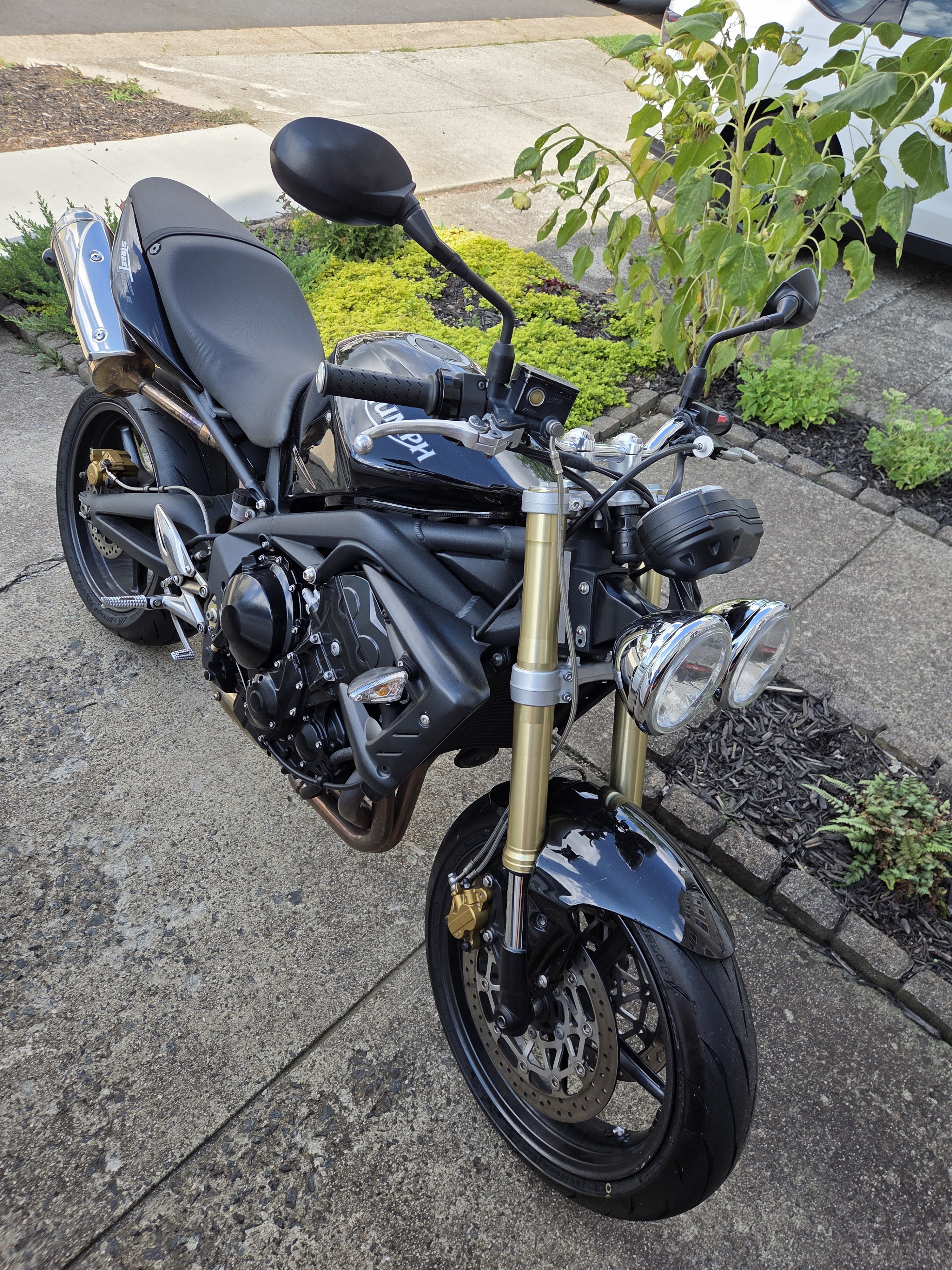 2009 Triumph STREET TRIPLE 675 Standard motorcycle
