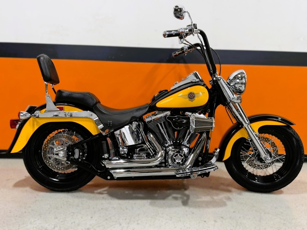 2001 Harley-Davidson Softail Fat Boy LO in Zieglerville, PA