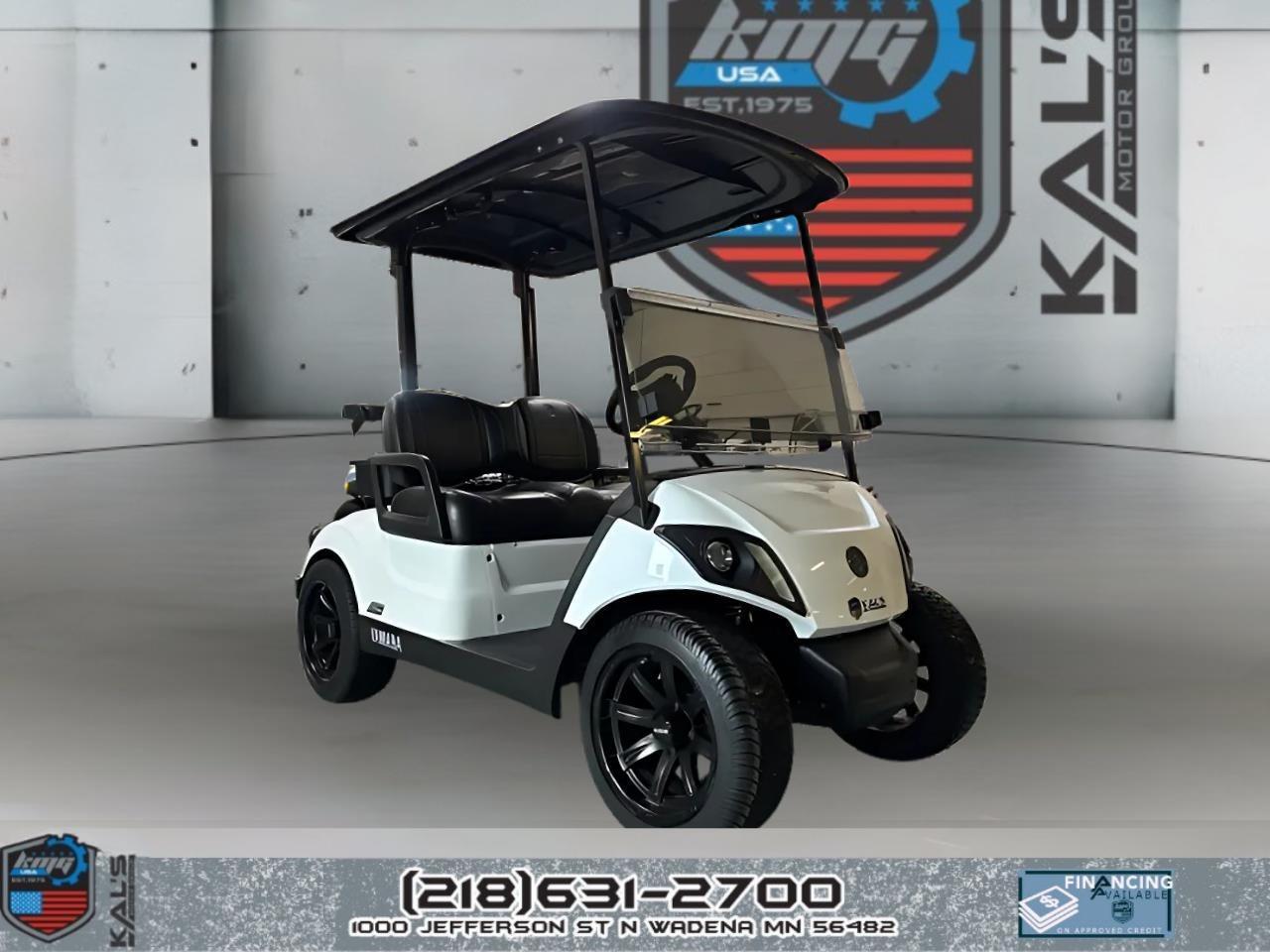 2022 Yamaha Drive 2 Electric Street Legal PTV ELECTRIC in wadena MN