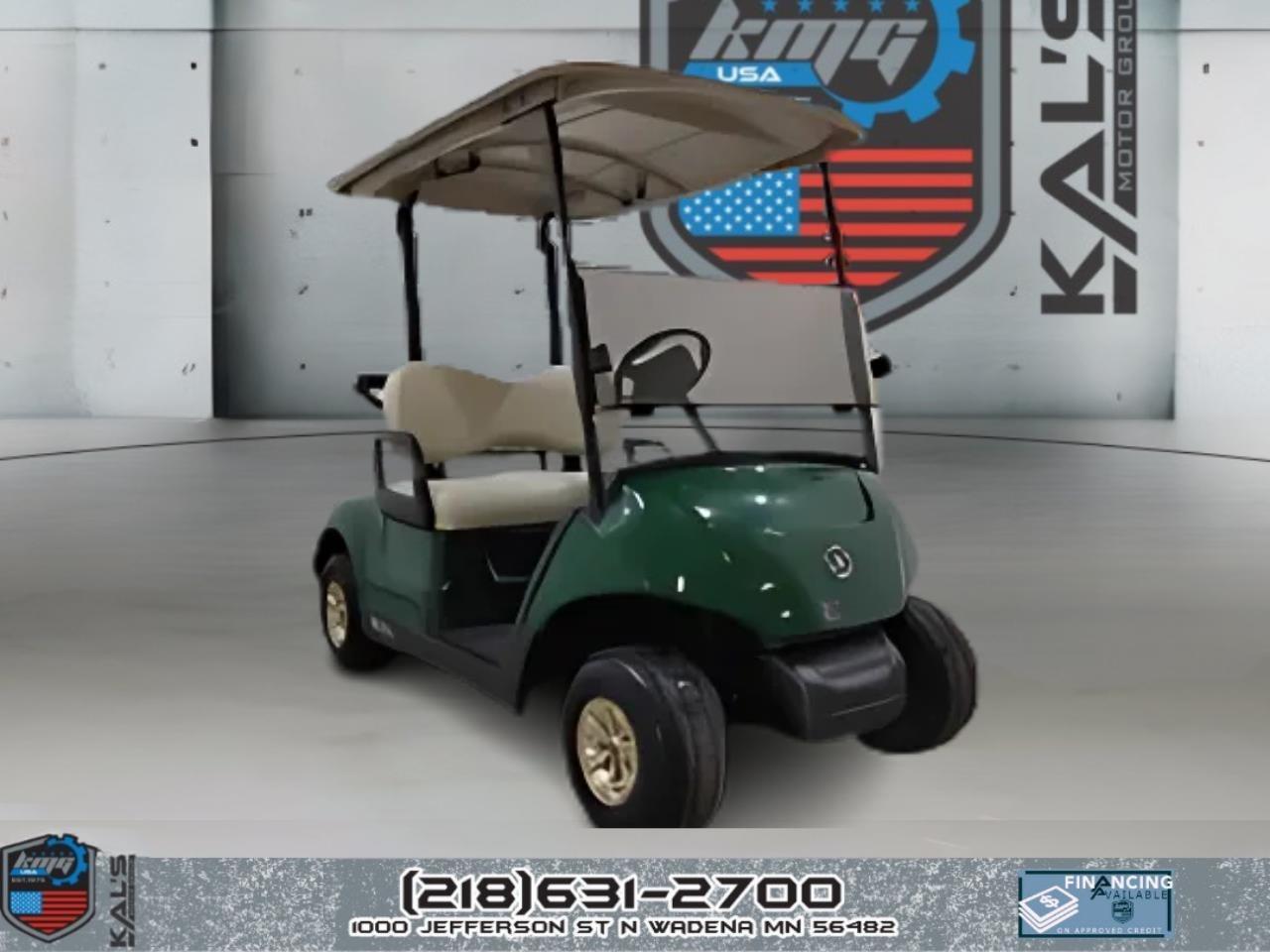 2019 Yamaha Drive 2 Electric NEW Batteries PTV ELECTRIC in wadena MN