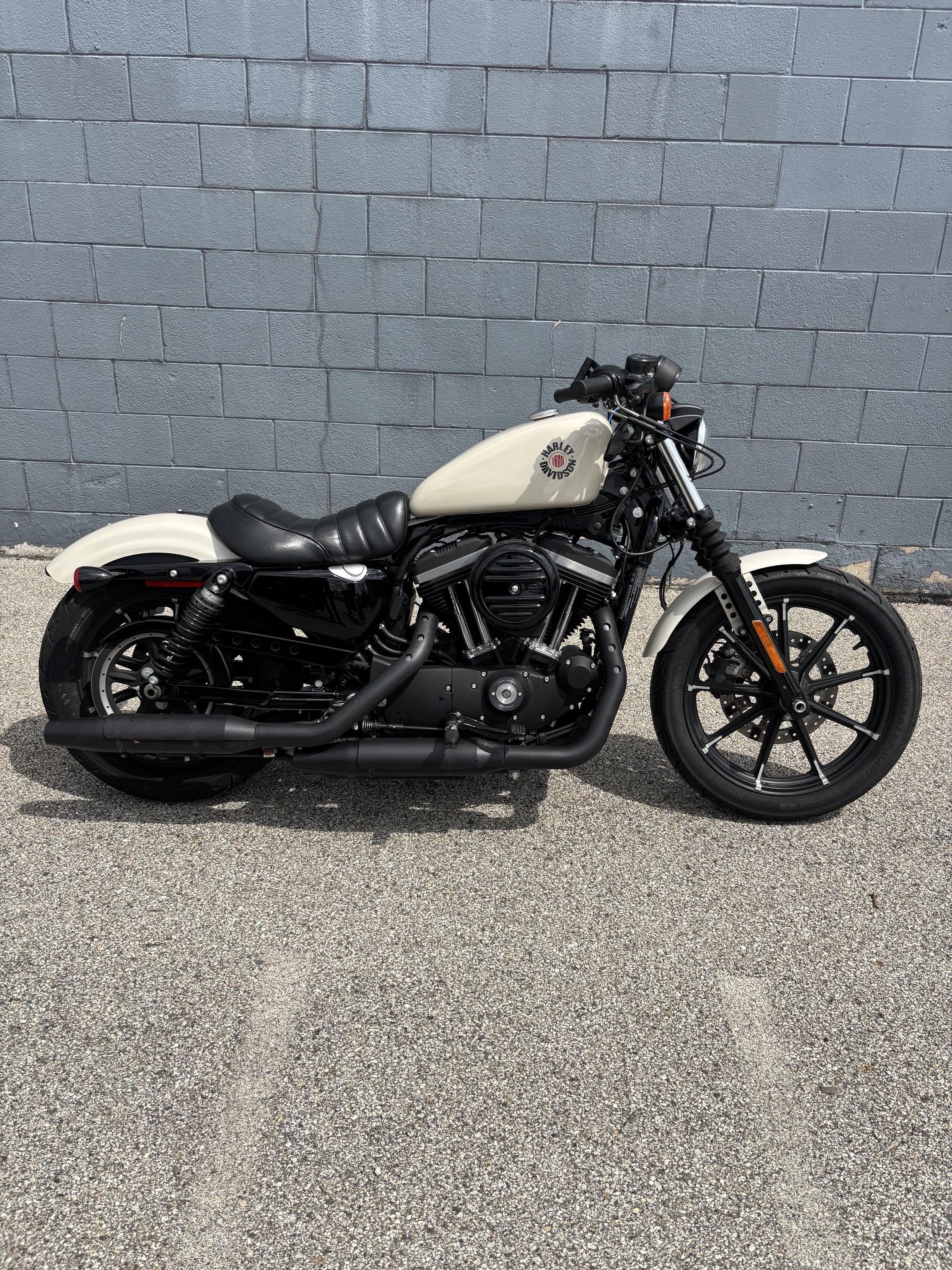 2022 Harley-Davidson XL 883N XL883N in Lafayette, IN