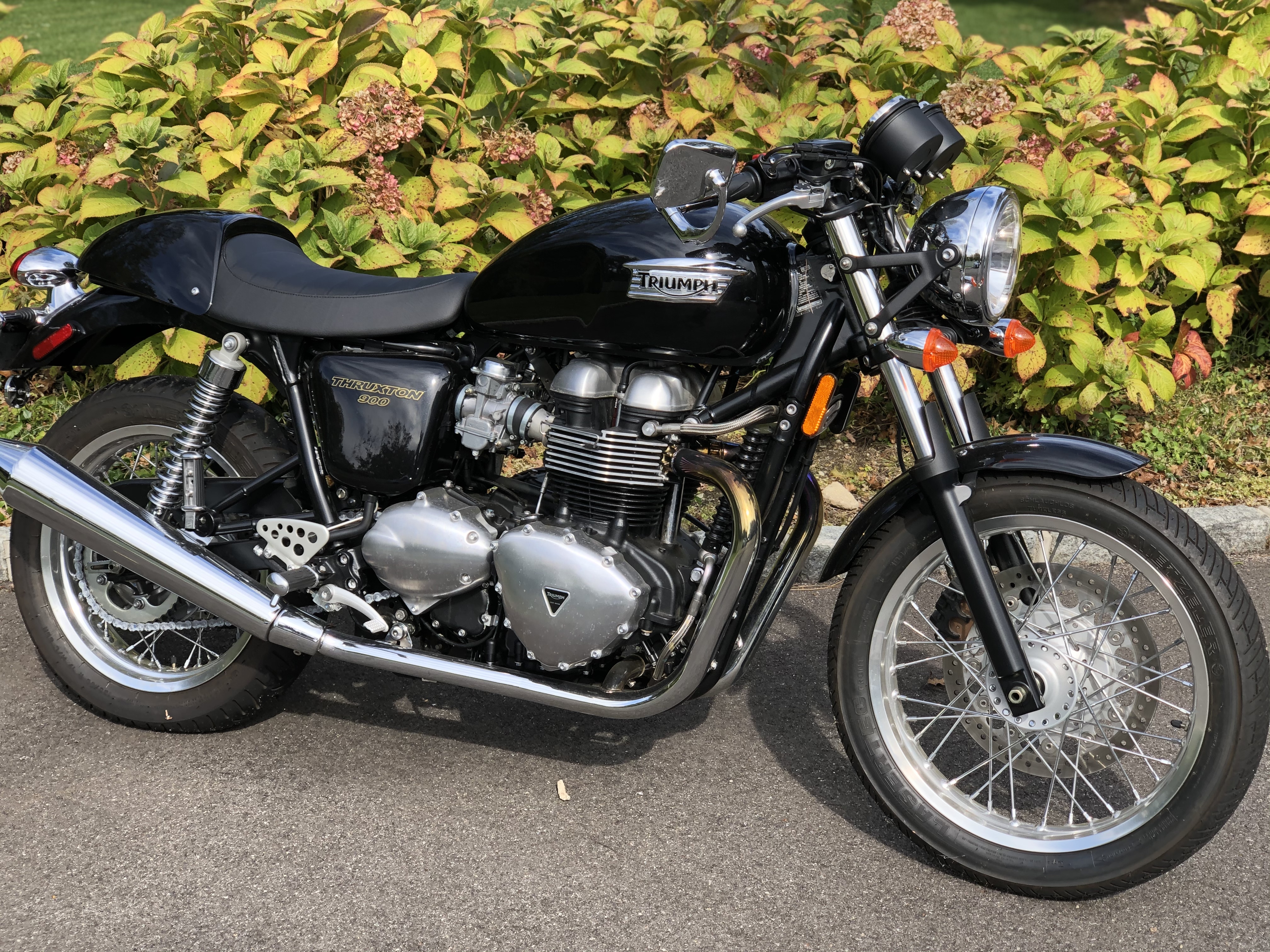 2013 Triumph THRUXTON 900 900 in Williston Park, NY