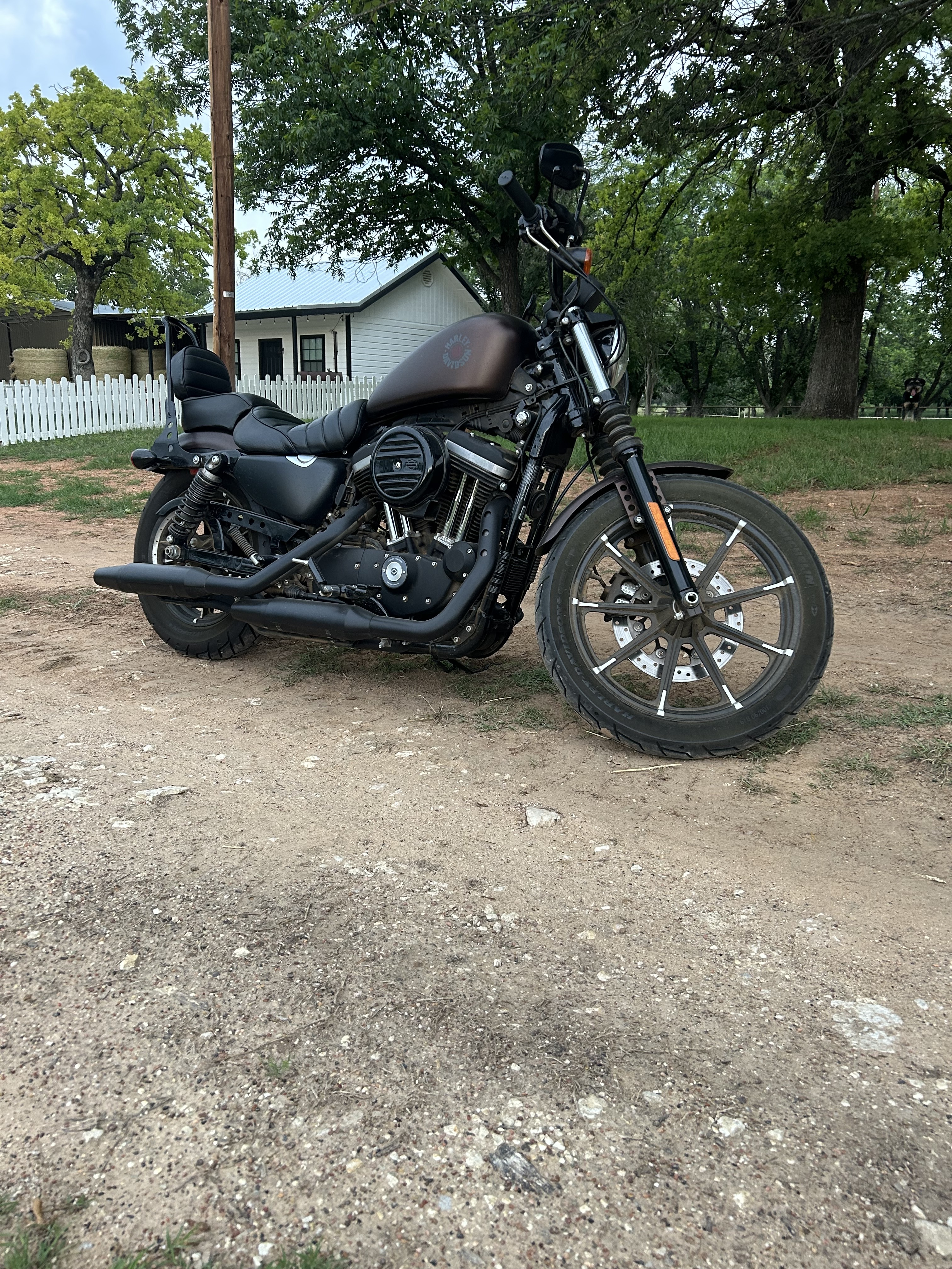 2019 Harley-Davidson SPORTSTER 883 IRON IRON in Stephenville, TX