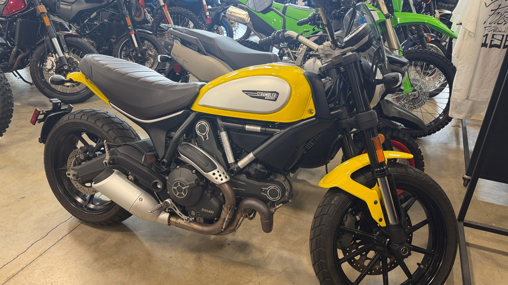 2015 Ducati Scrambler Icon Red Icon '62 Yellow ICON in Sublimity, OR