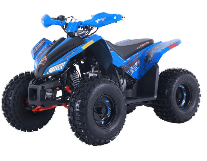 2026 Denago Powersports Trailhawk 10FI in south charleston WV