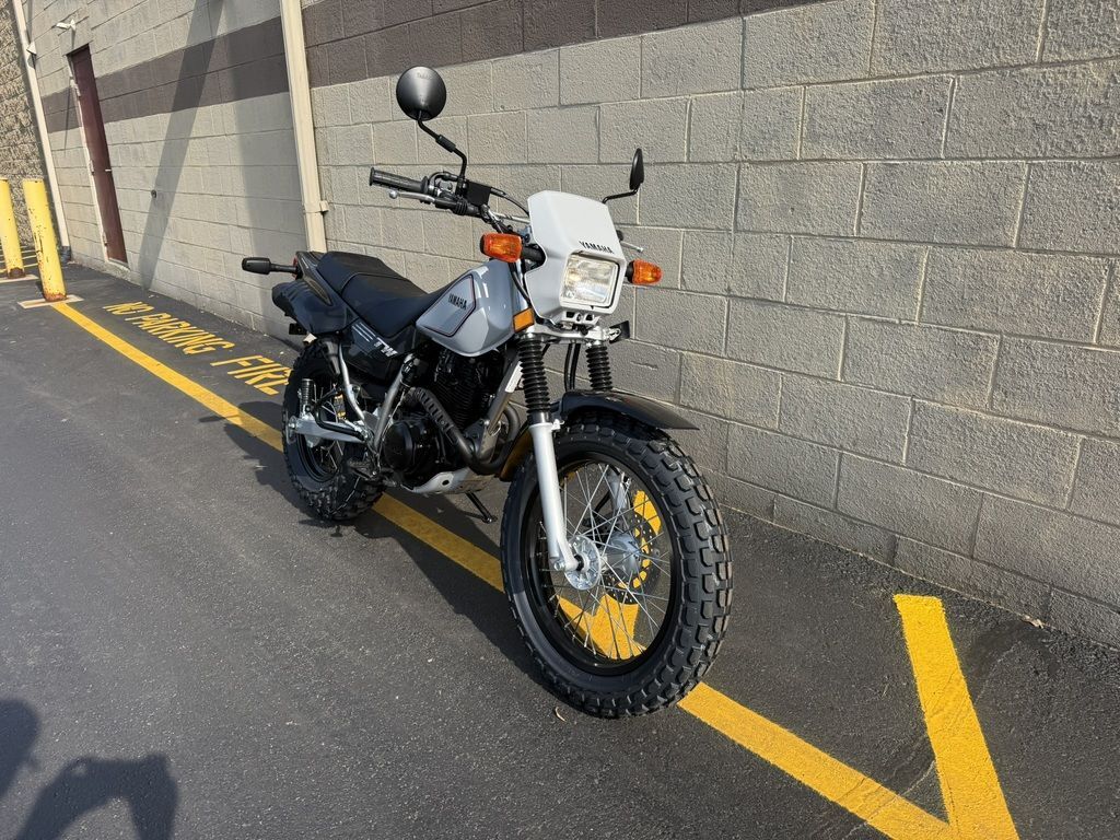2027 Yamaha TW200 200 in Brighton, MI