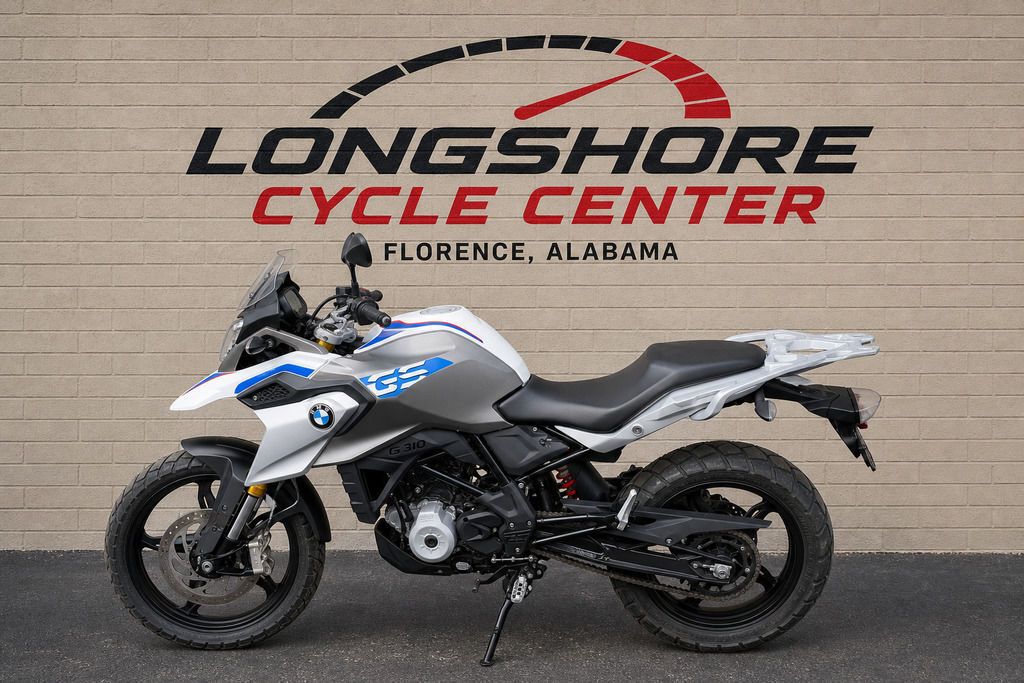 2019 BMW 19G2 310 R in Florence, AL