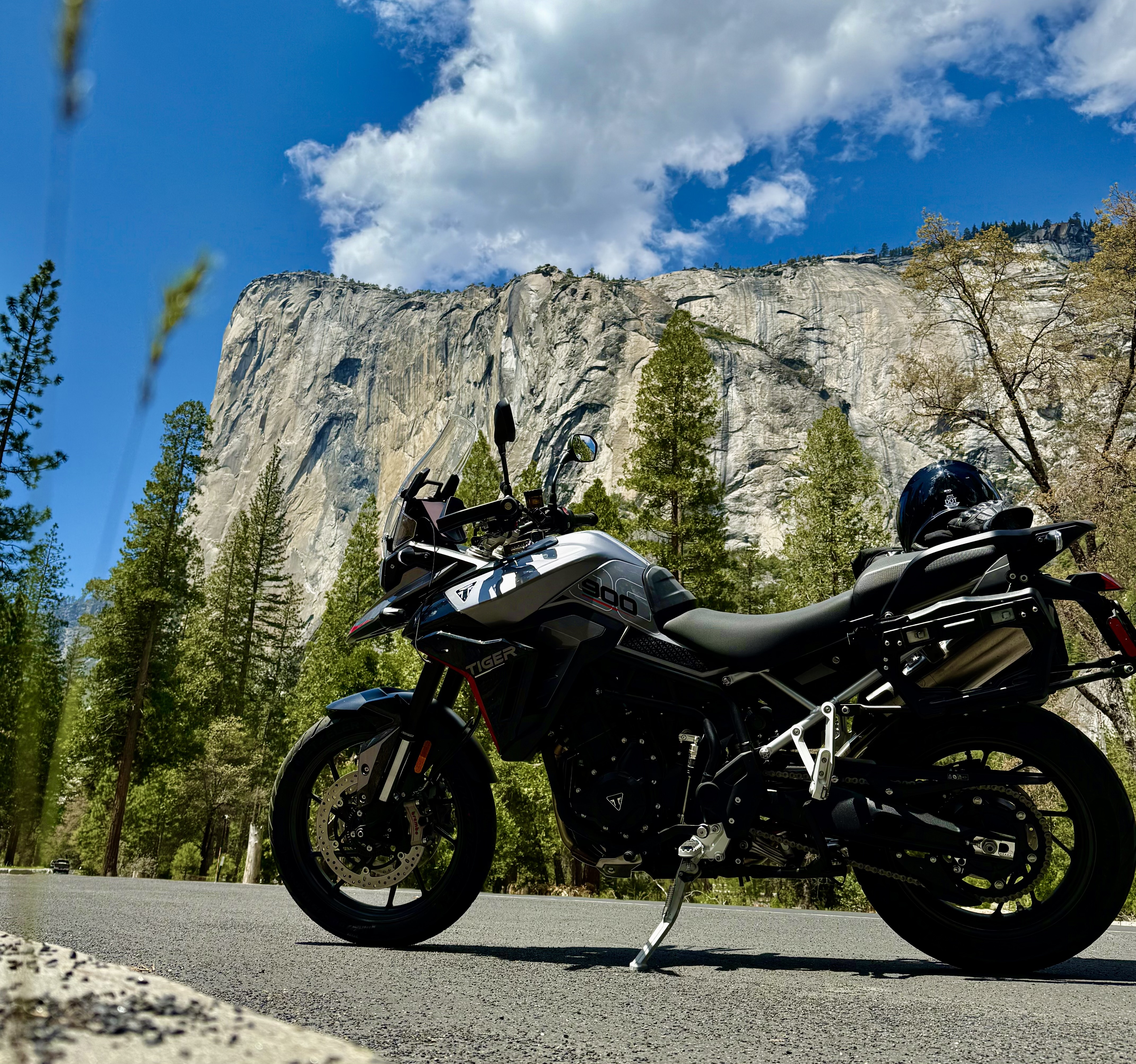 2025 Triumph TIGER 900 GT PRO GT PRO in Modesto, CA