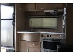 2020 FOREST RIVER r pod 195