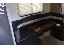 2020 FOREST RIVER r pod 195