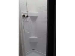 2020 FOREST RIVER r pod 195