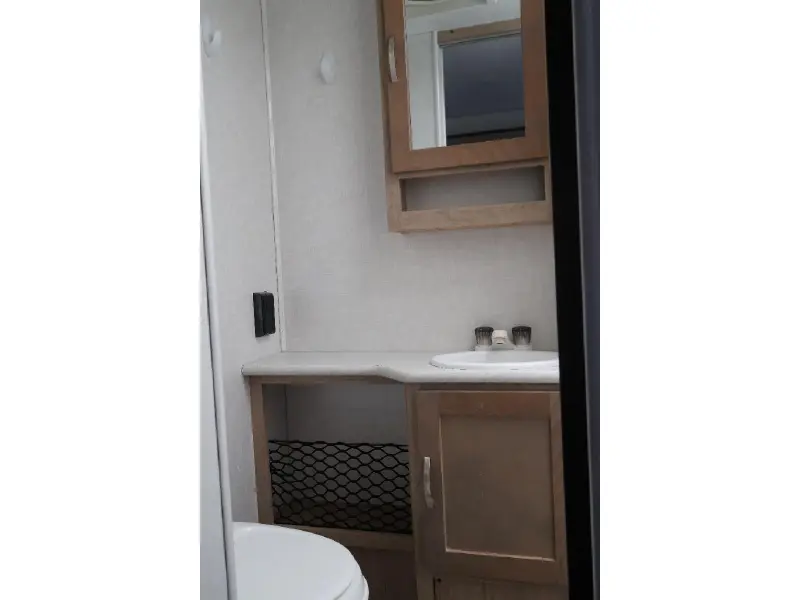 2020 FOREST RIVER r pod 195