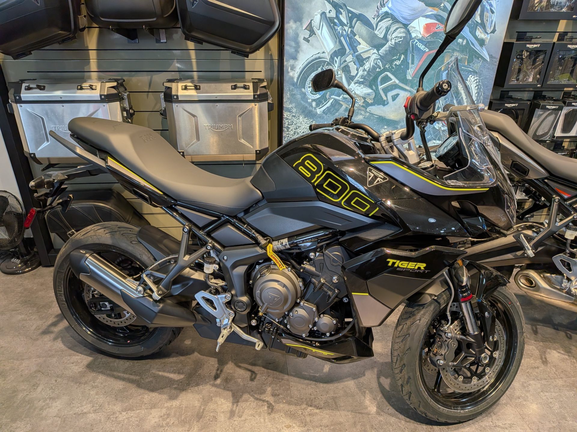 2026 Triumph Tiger Sport 800 800 in Warren, OH