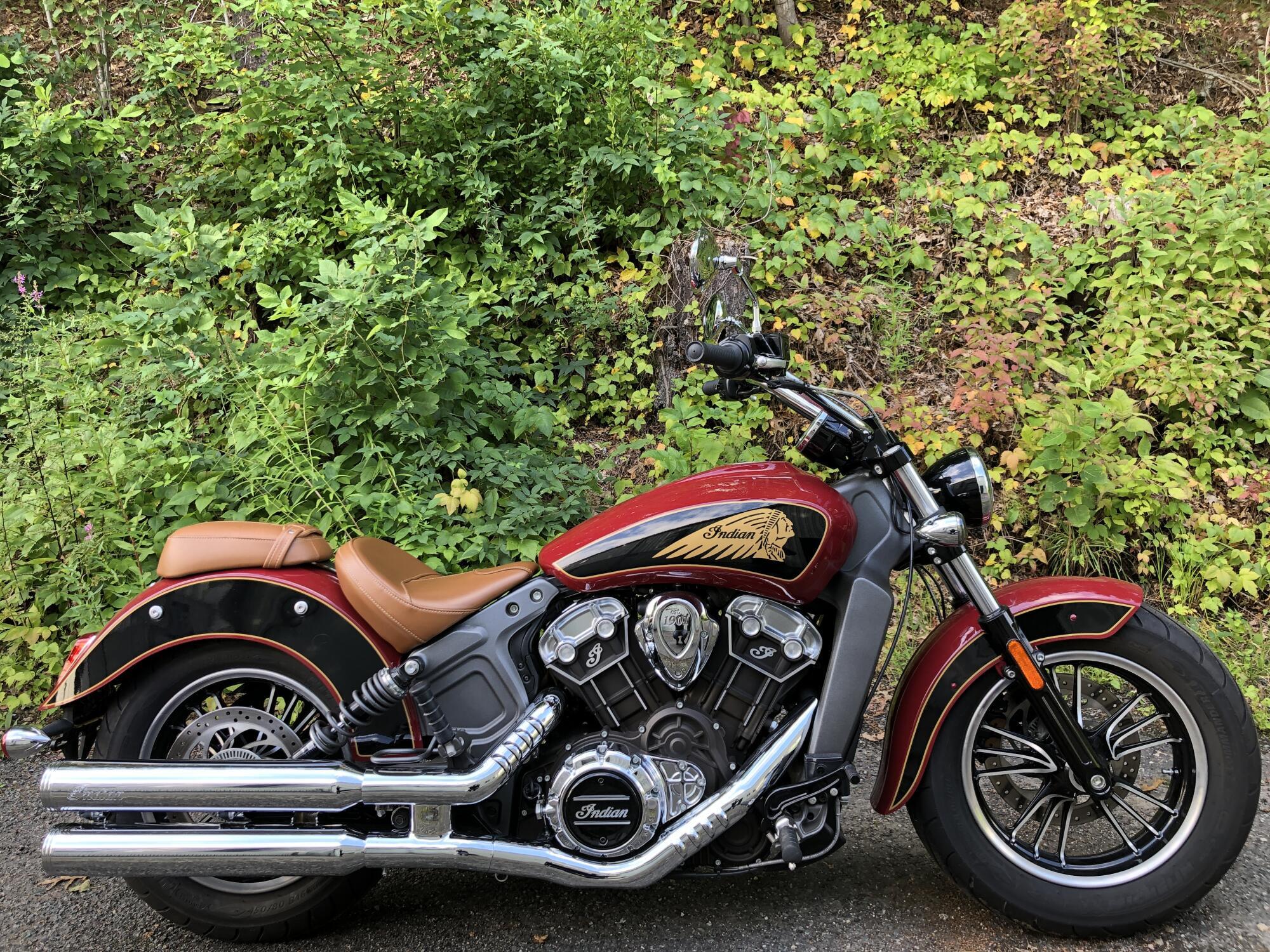 2019 Indian Motorcycle Scout in Bellingham, MA