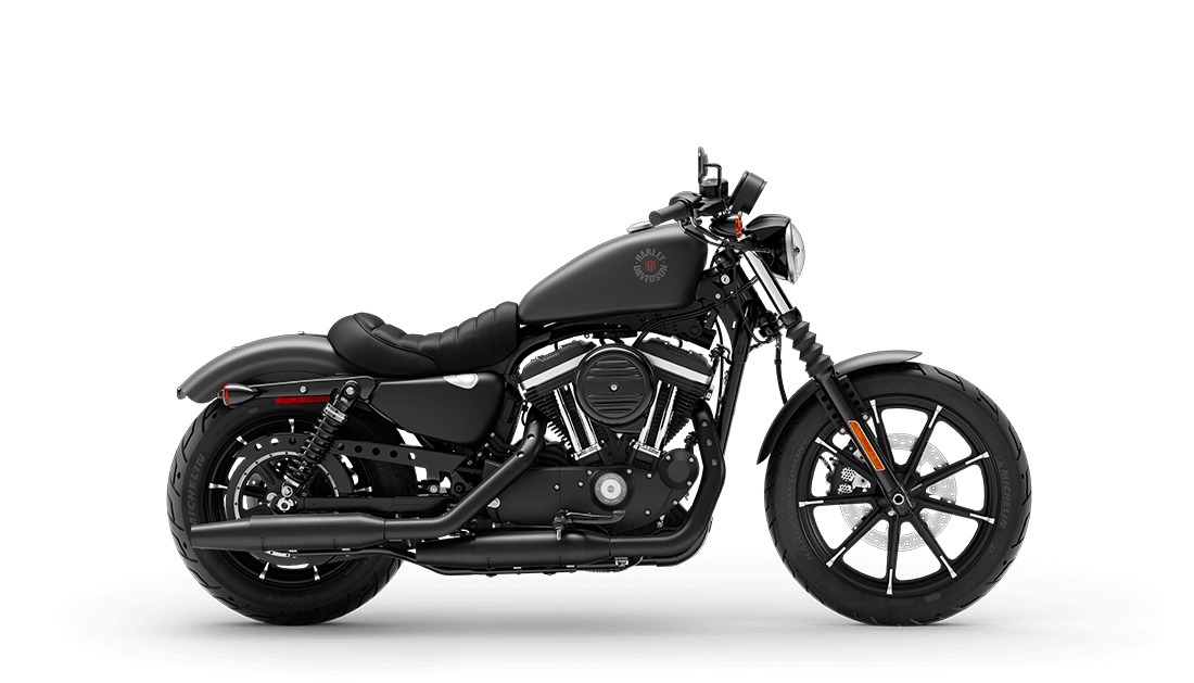 2021 Harley-Davidson Iron 883 IRON in Winterville, NC