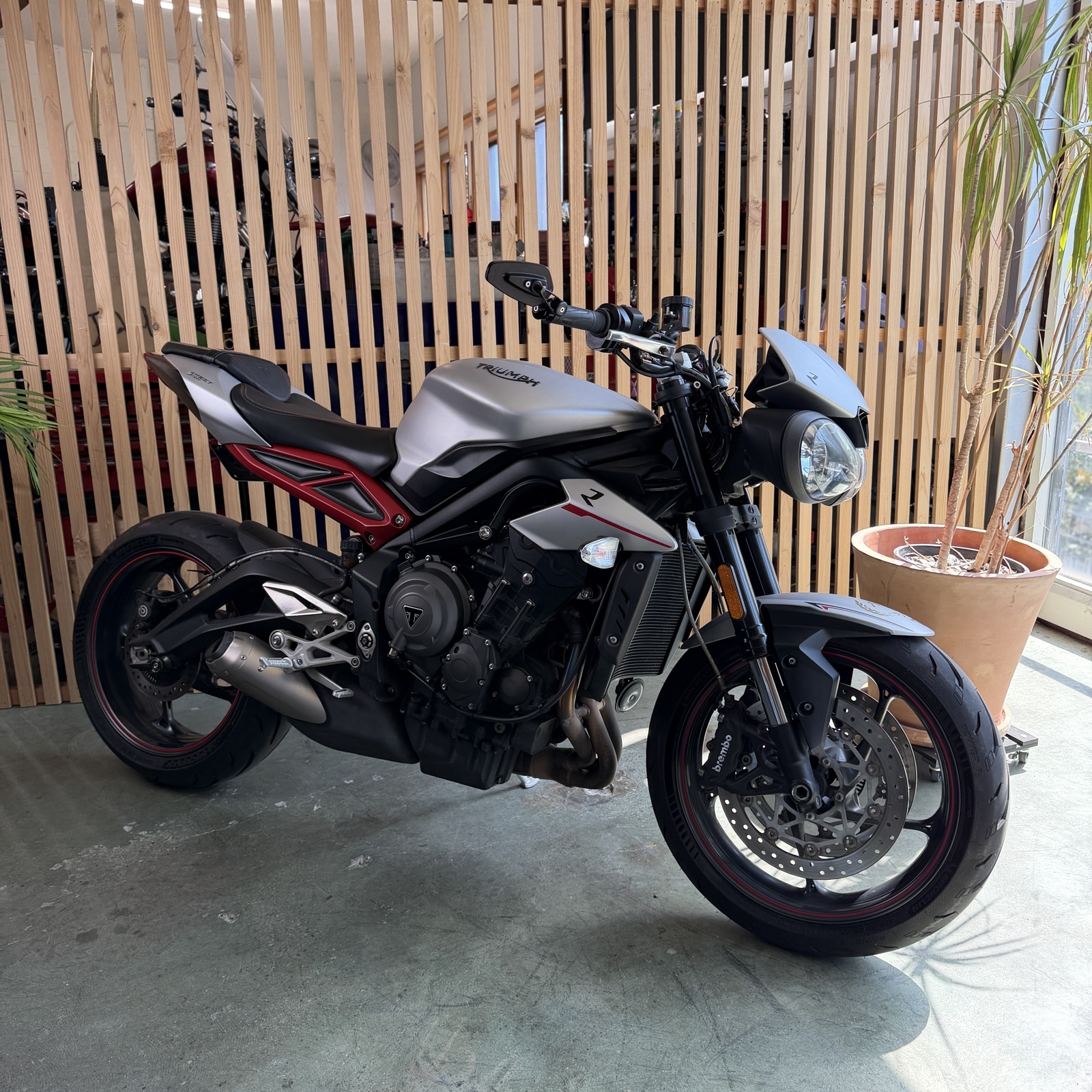 2018 Triumph STREE TRIPLE R R ABS in Seattle, WA