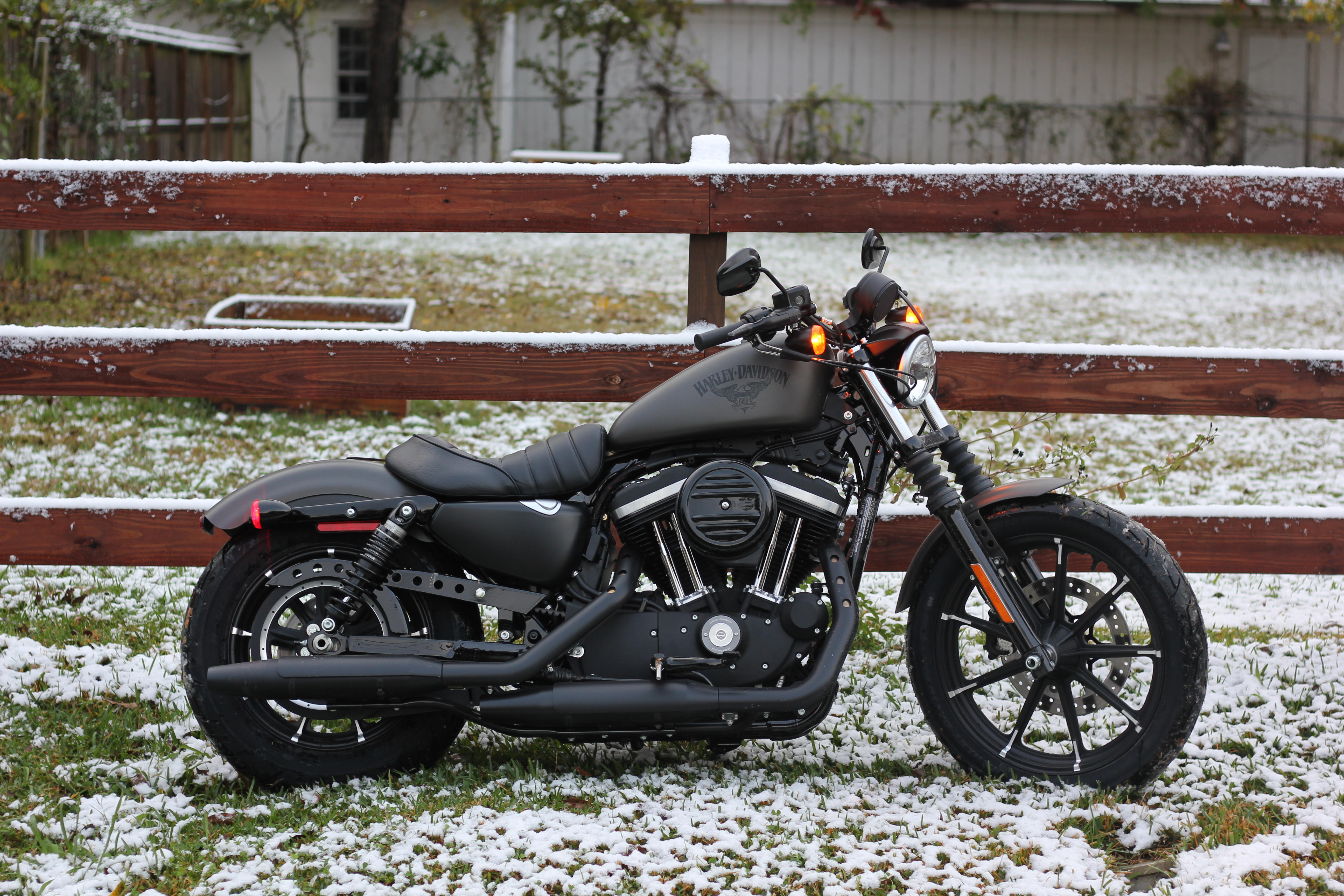 2018 Harley-Davidson SPORTSTER 883 IRON IRON in Houston, TX