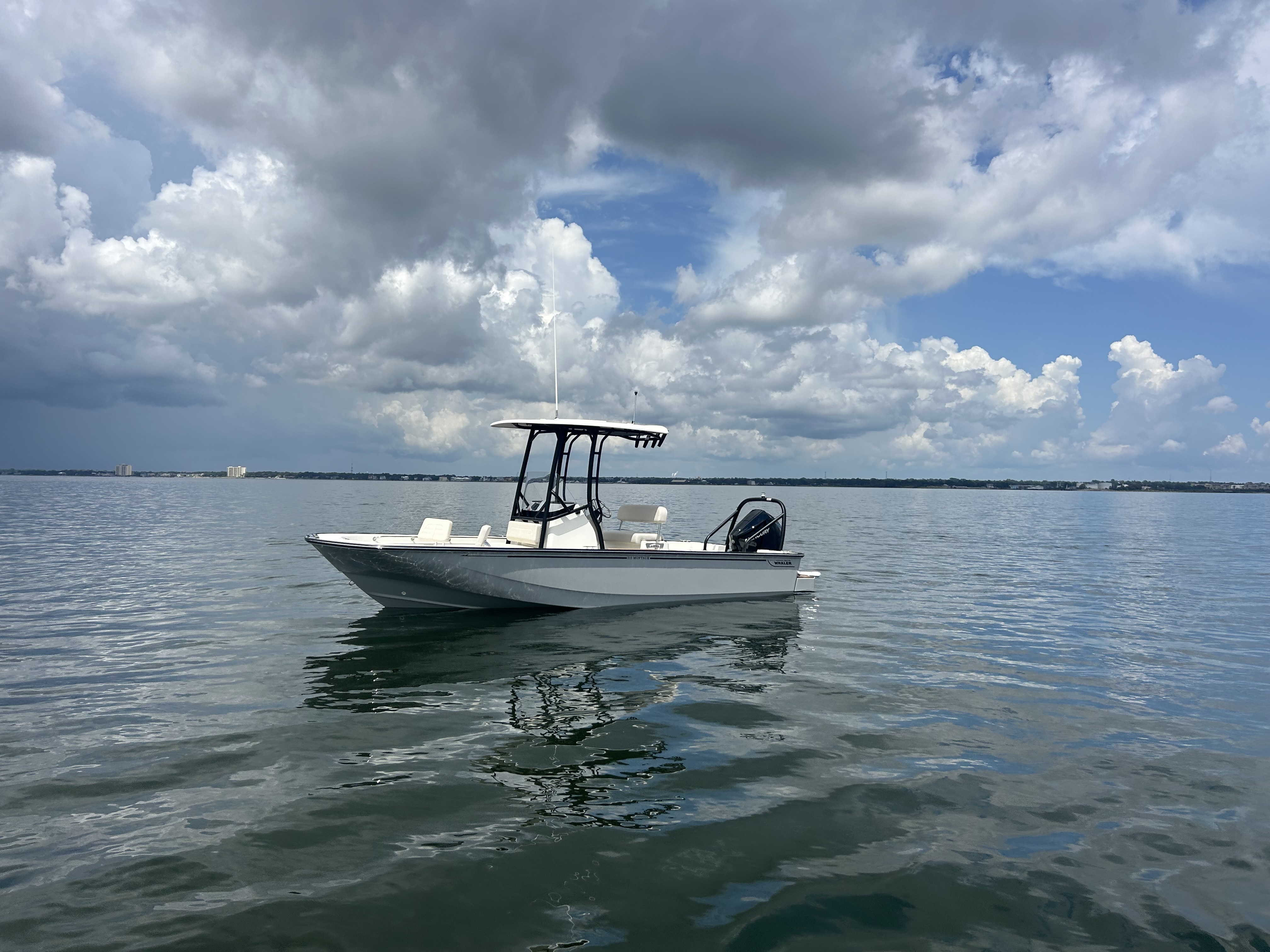 2027 Boston Whaler 210 Montauk in pensacola FL