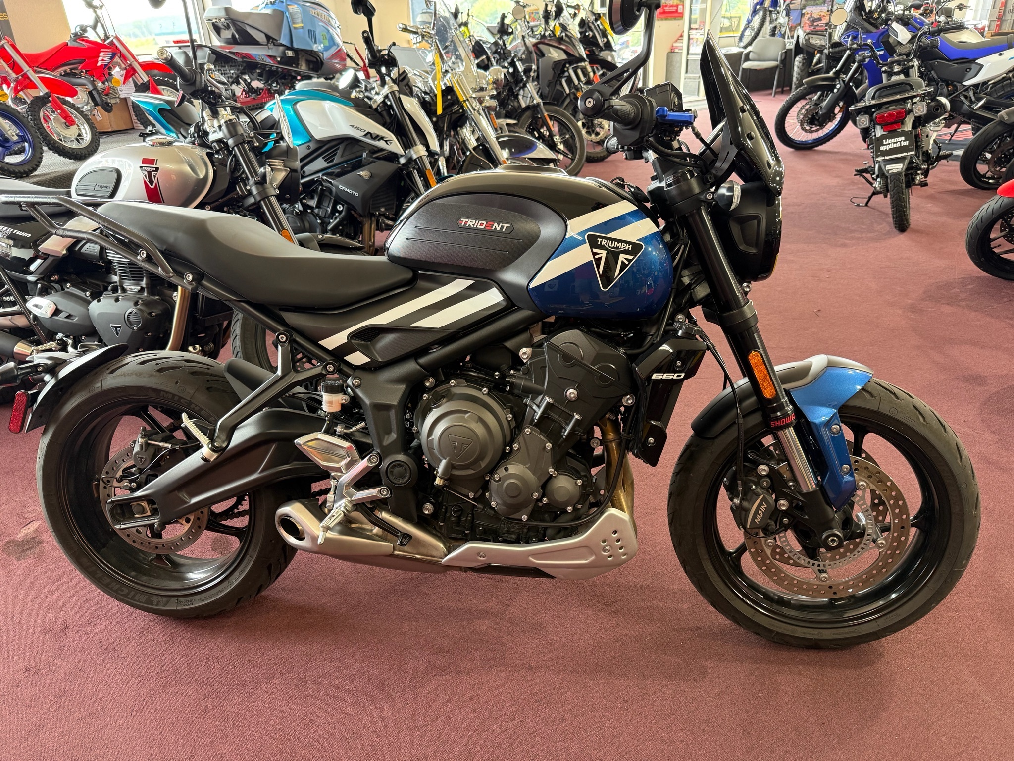 2025 Triumph Trident 660 660 in Belle Plaine, MN