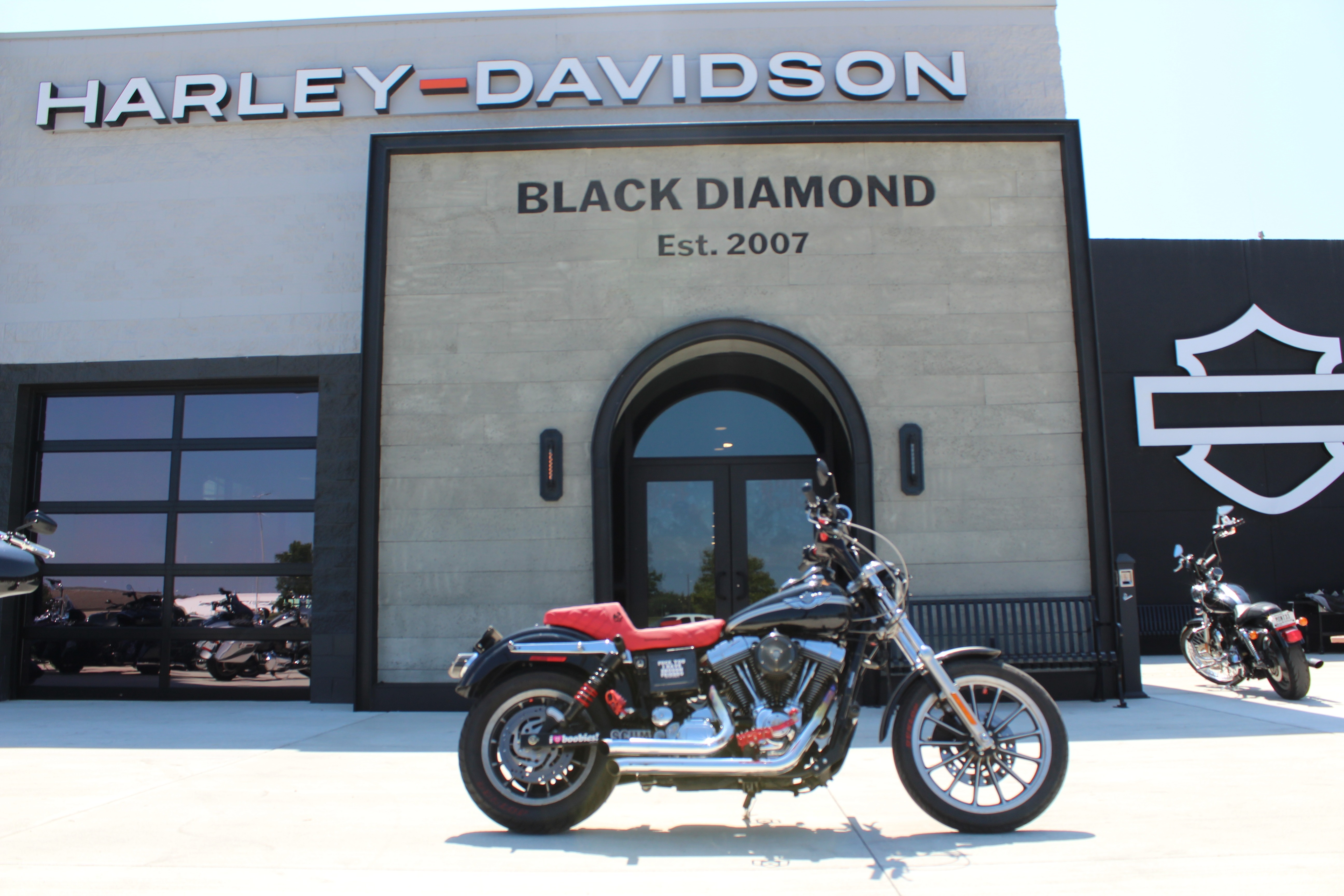 2003 Harley-Davidson FXDL Dyna Low Rider® in Marion, IL