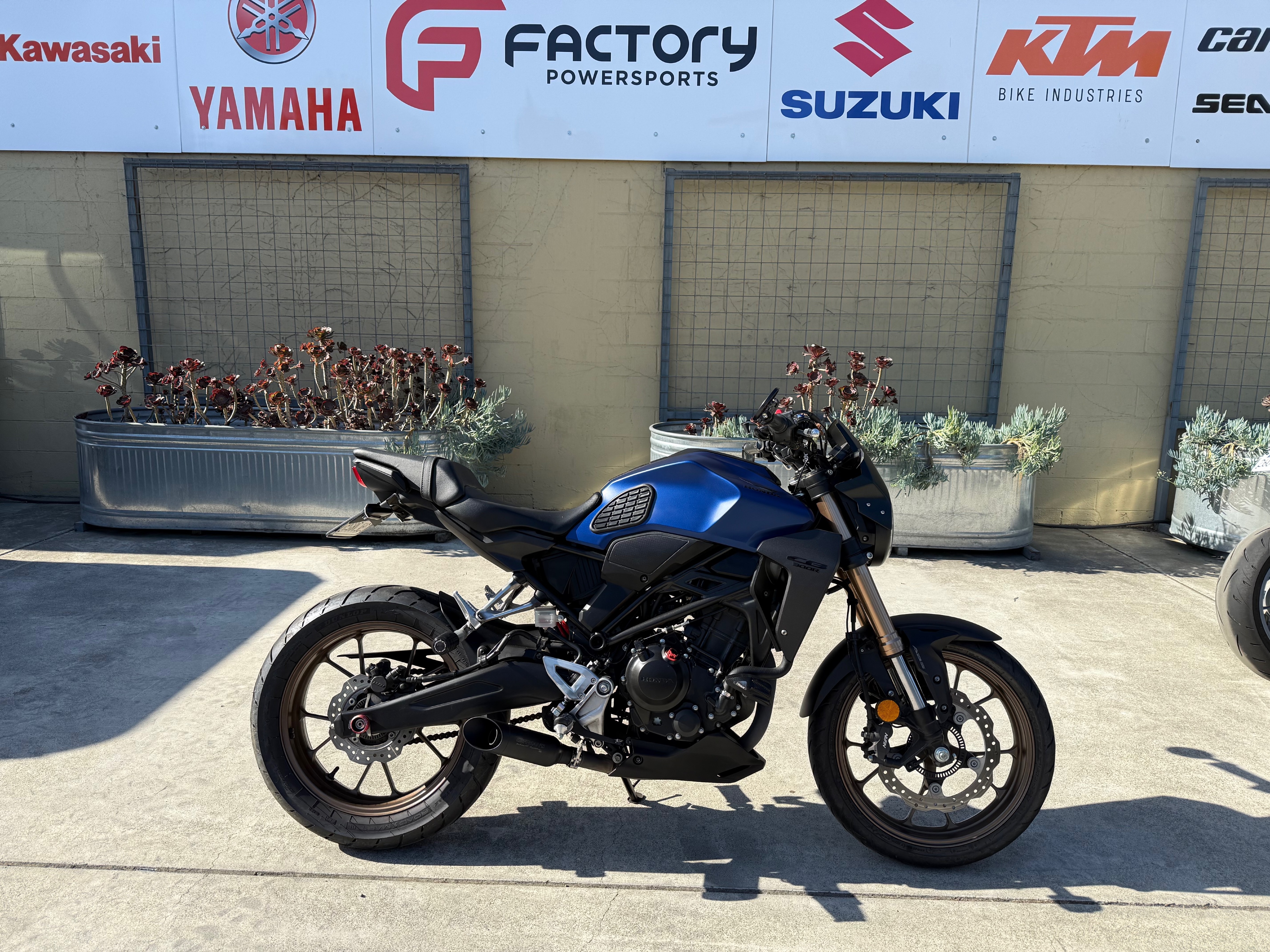 2021 Honda CB300R ABS 300R ABS in Santa Rosa, CA