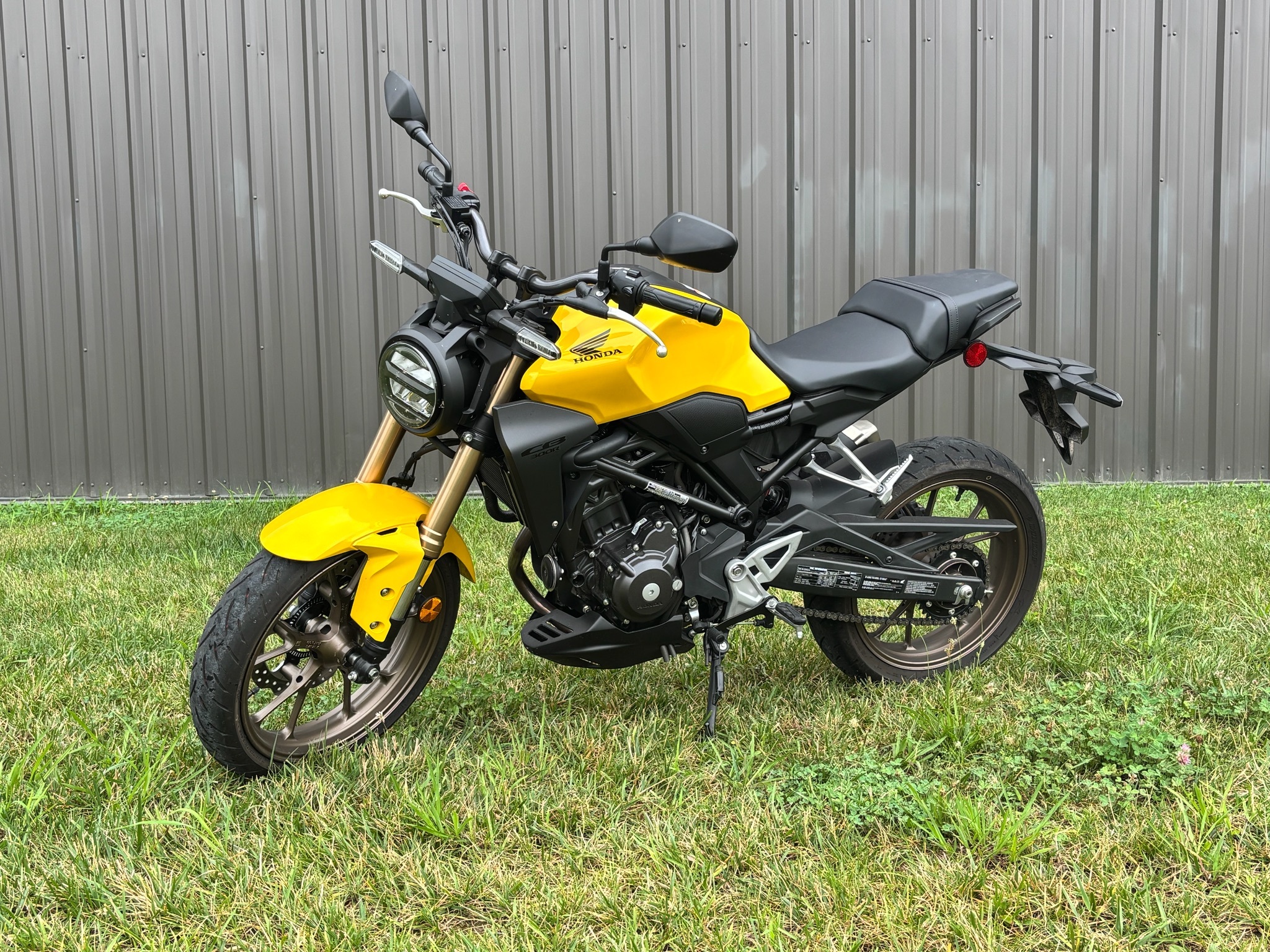 2024 Honda CB300R ABS 300R ABS in Marietta, OH