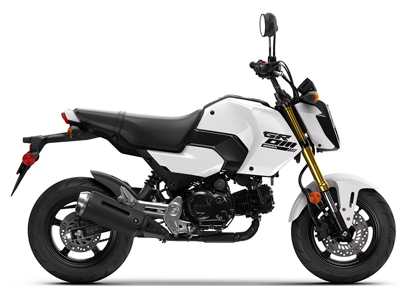 2025 Honda Grom in Bear, DE