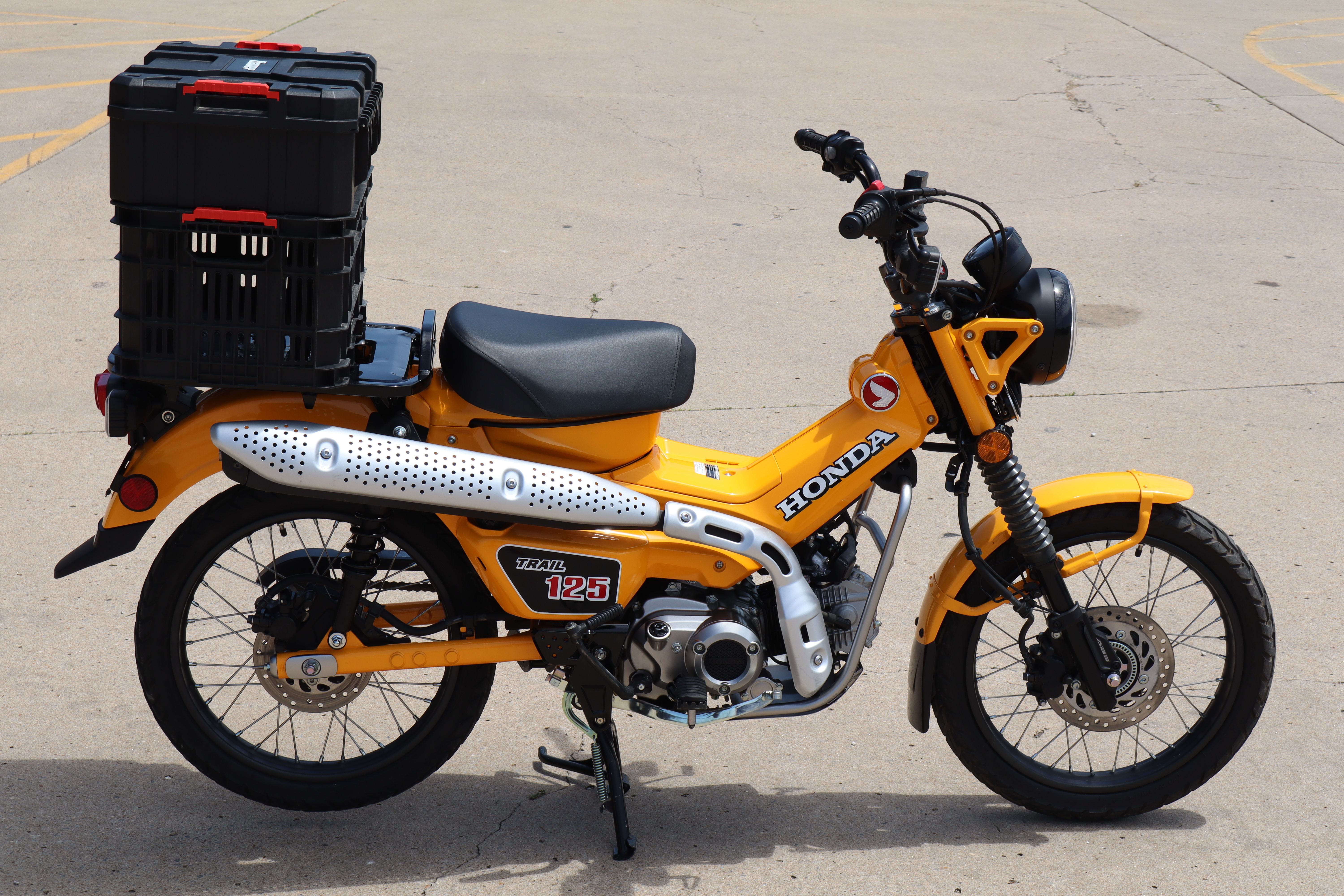 2024 Honda Trail125 CT125A 125 in Fayetteville, AR