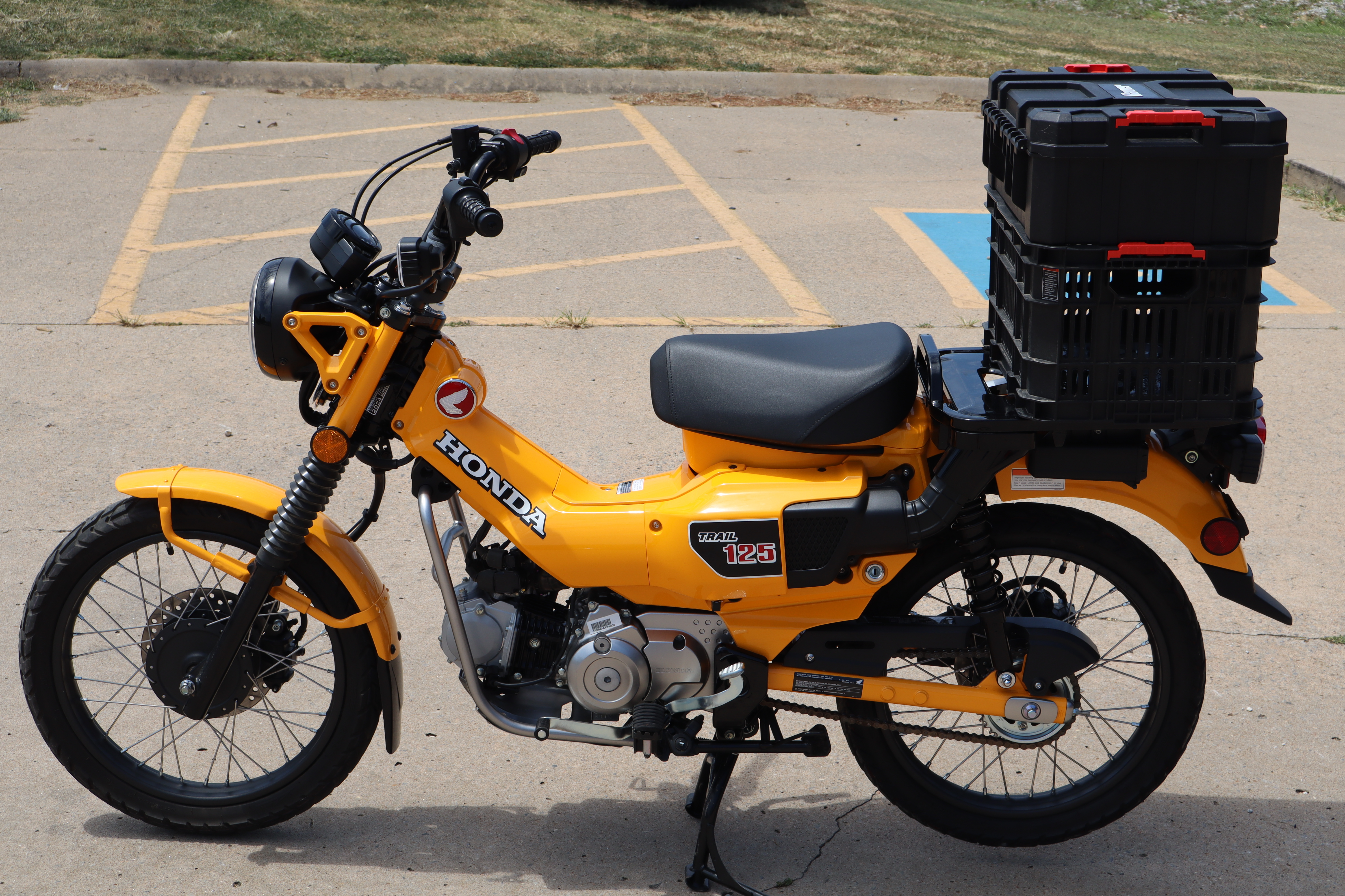 2024 Honda Trail125 CT125A in fayetteville AR