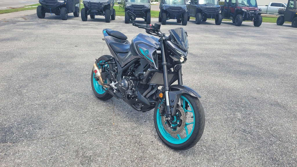 2024 Yamaha MT 03 03 in Punta Gorda, FL